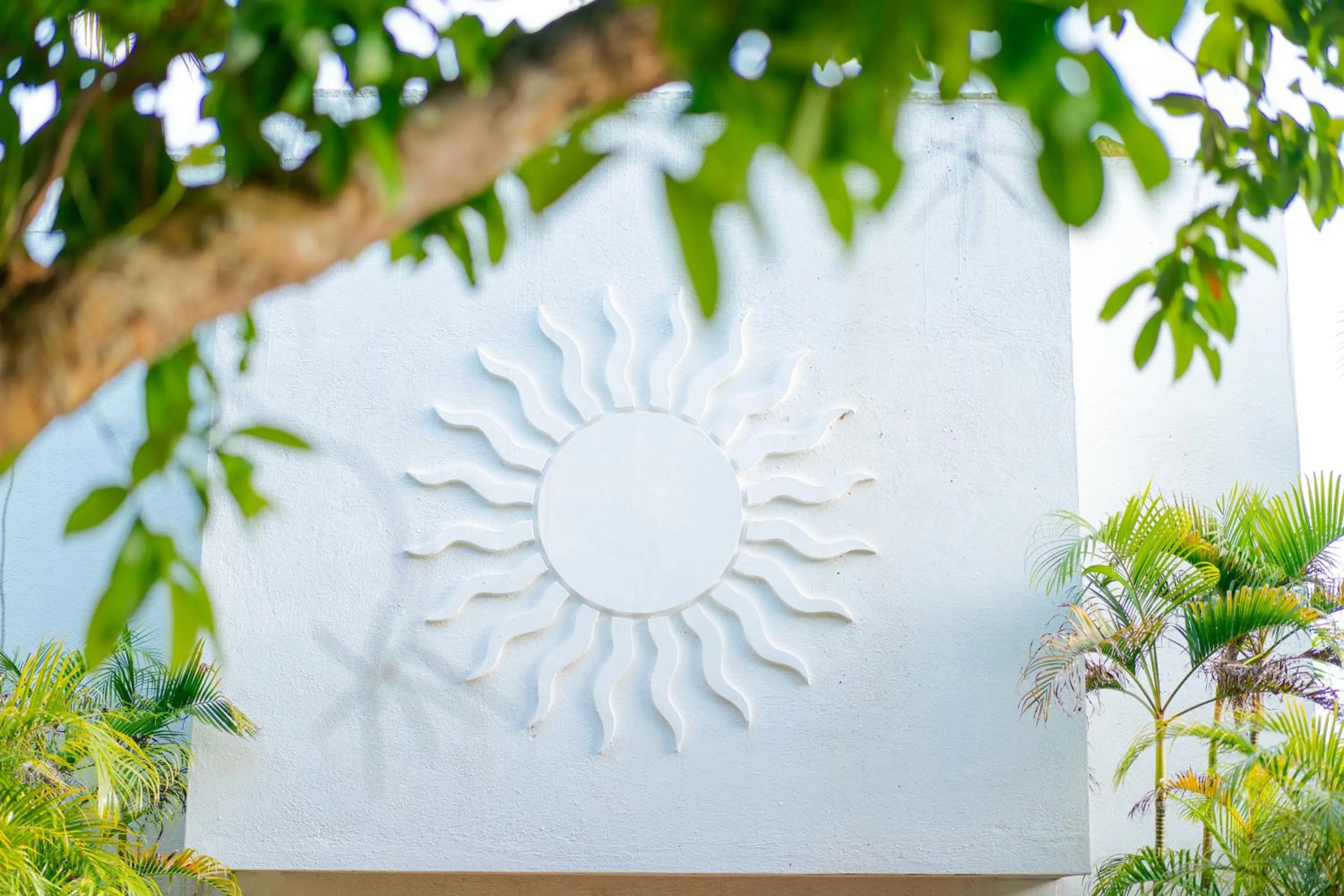 Marina del Sol Resort & Yacht Club