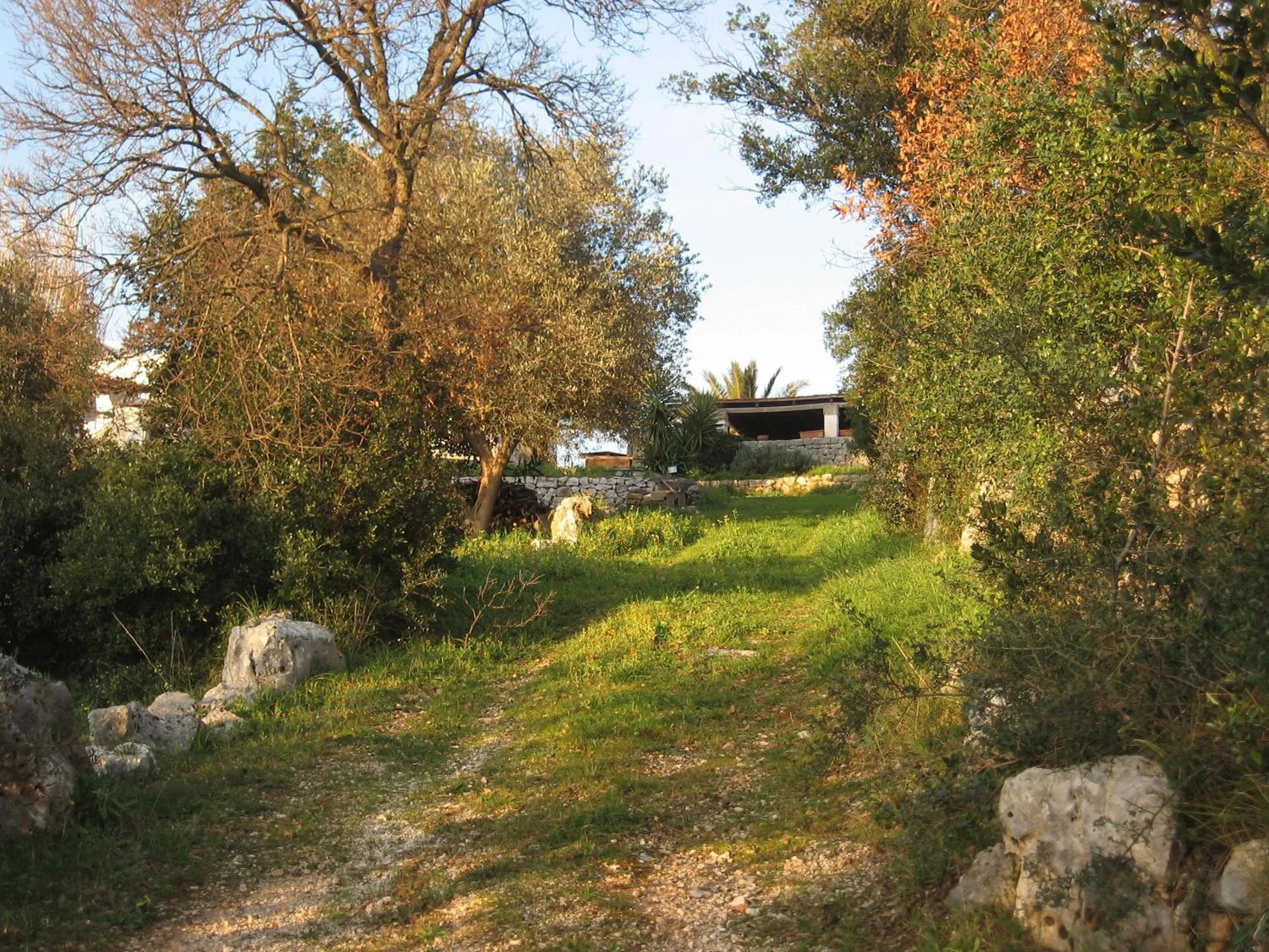 Natural landscape in B&b Cinque Stalle
