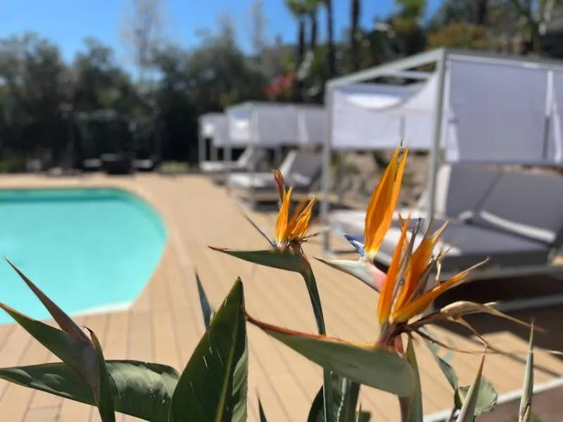 Charming Bellagio Boutique Hotel