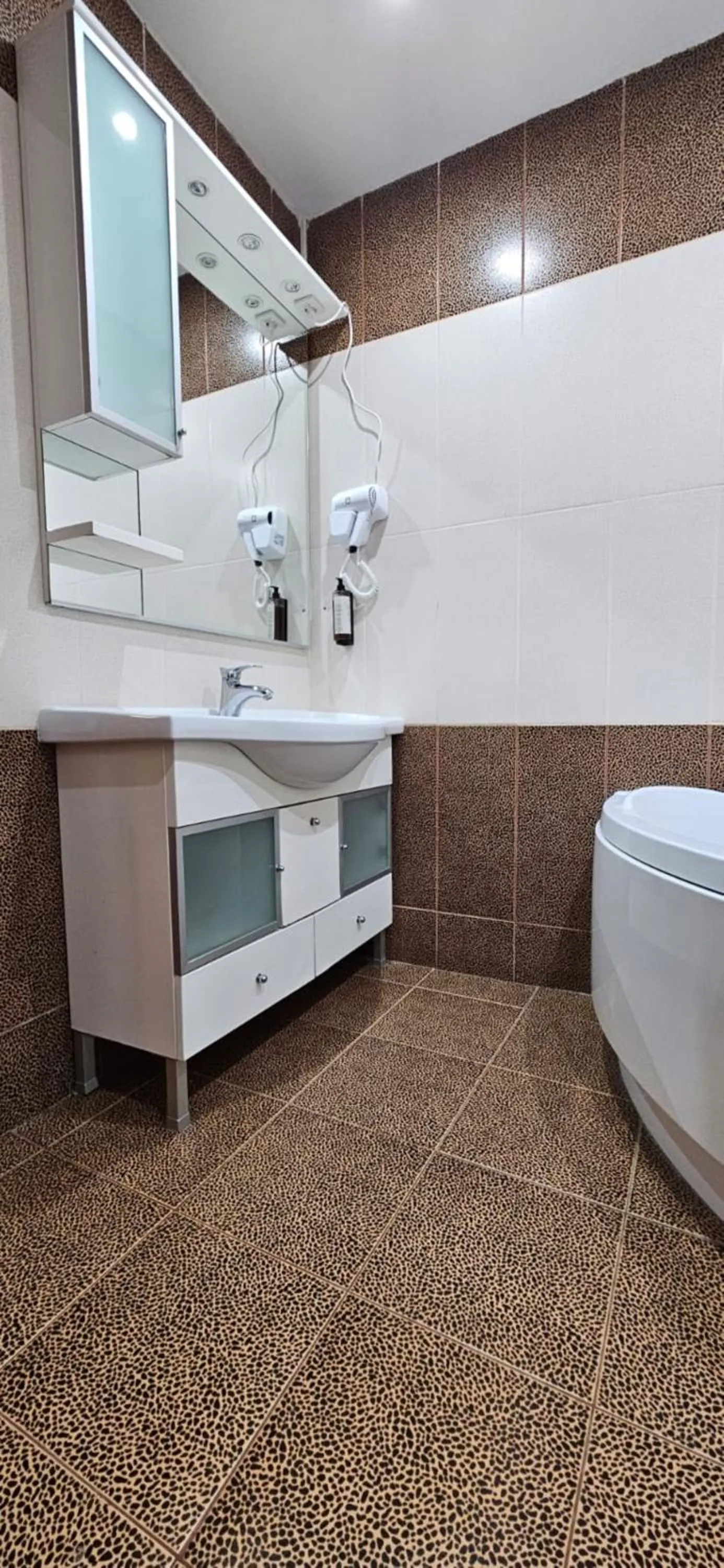 Bathroom in Hotel Bran Stoker