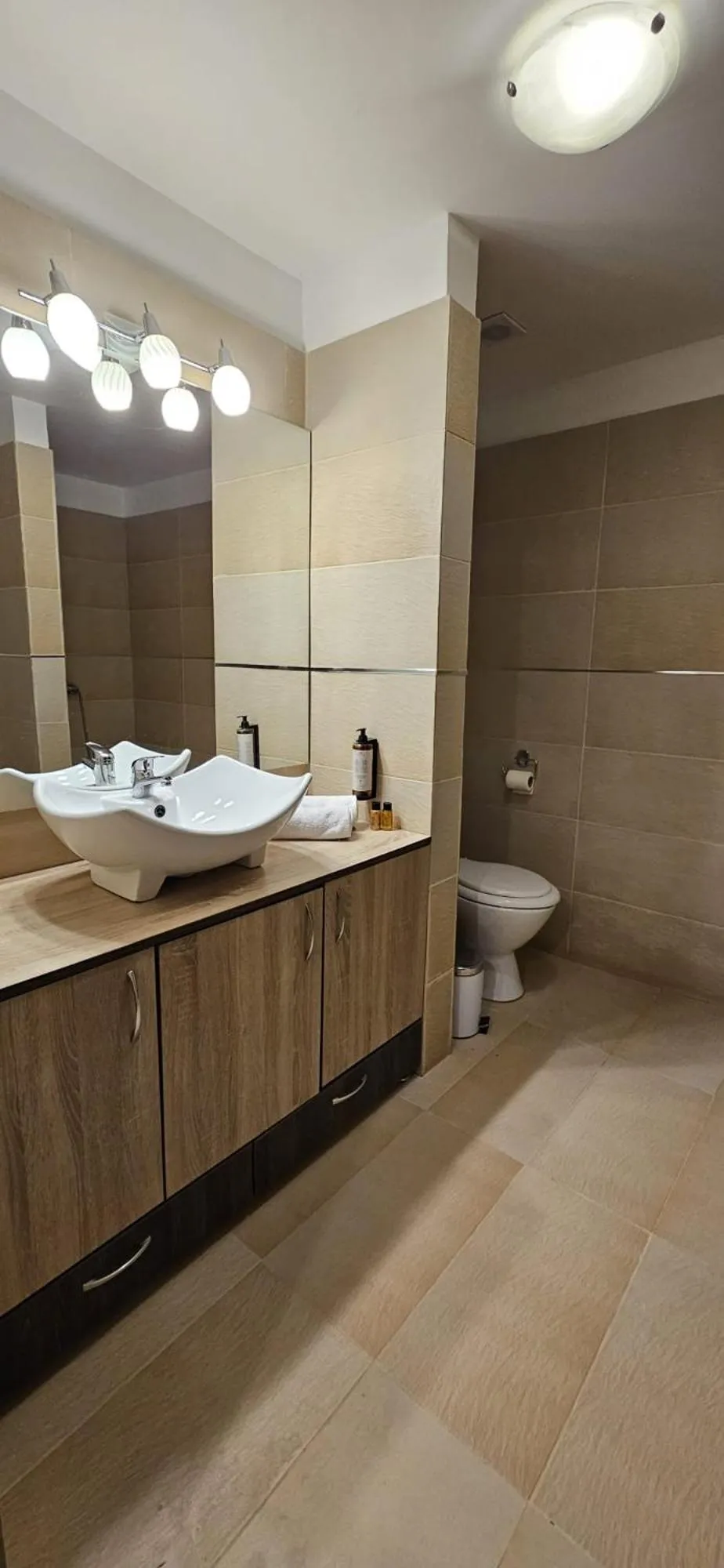 Bathroom in Hotel Bran Stoker