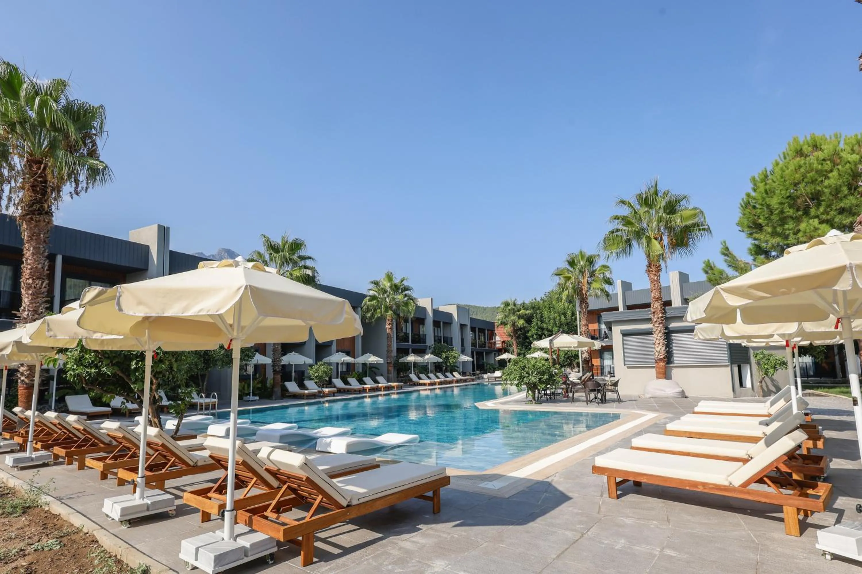 Day in Forest In Hotel