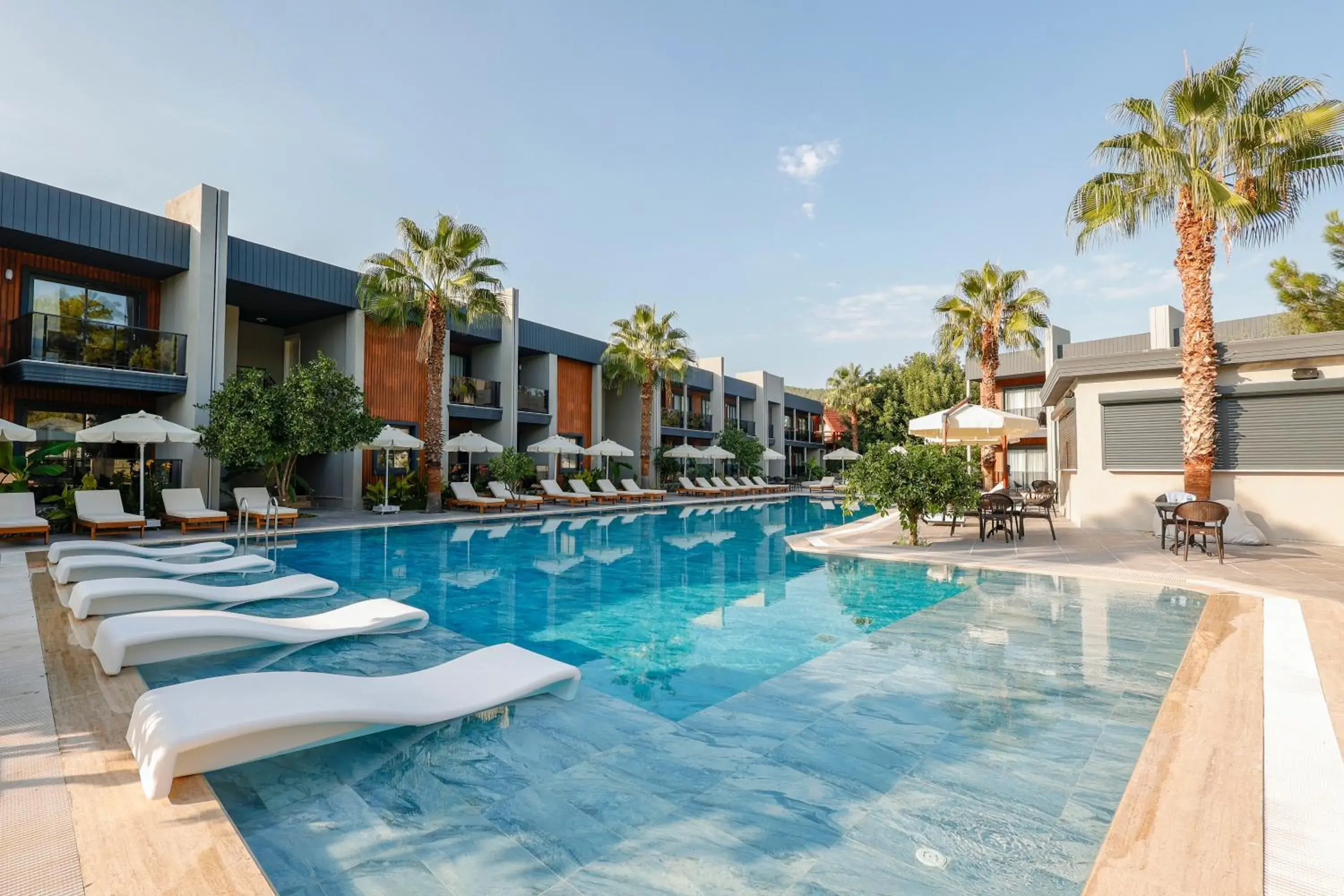 Forest In Hotel Forest In Hotel