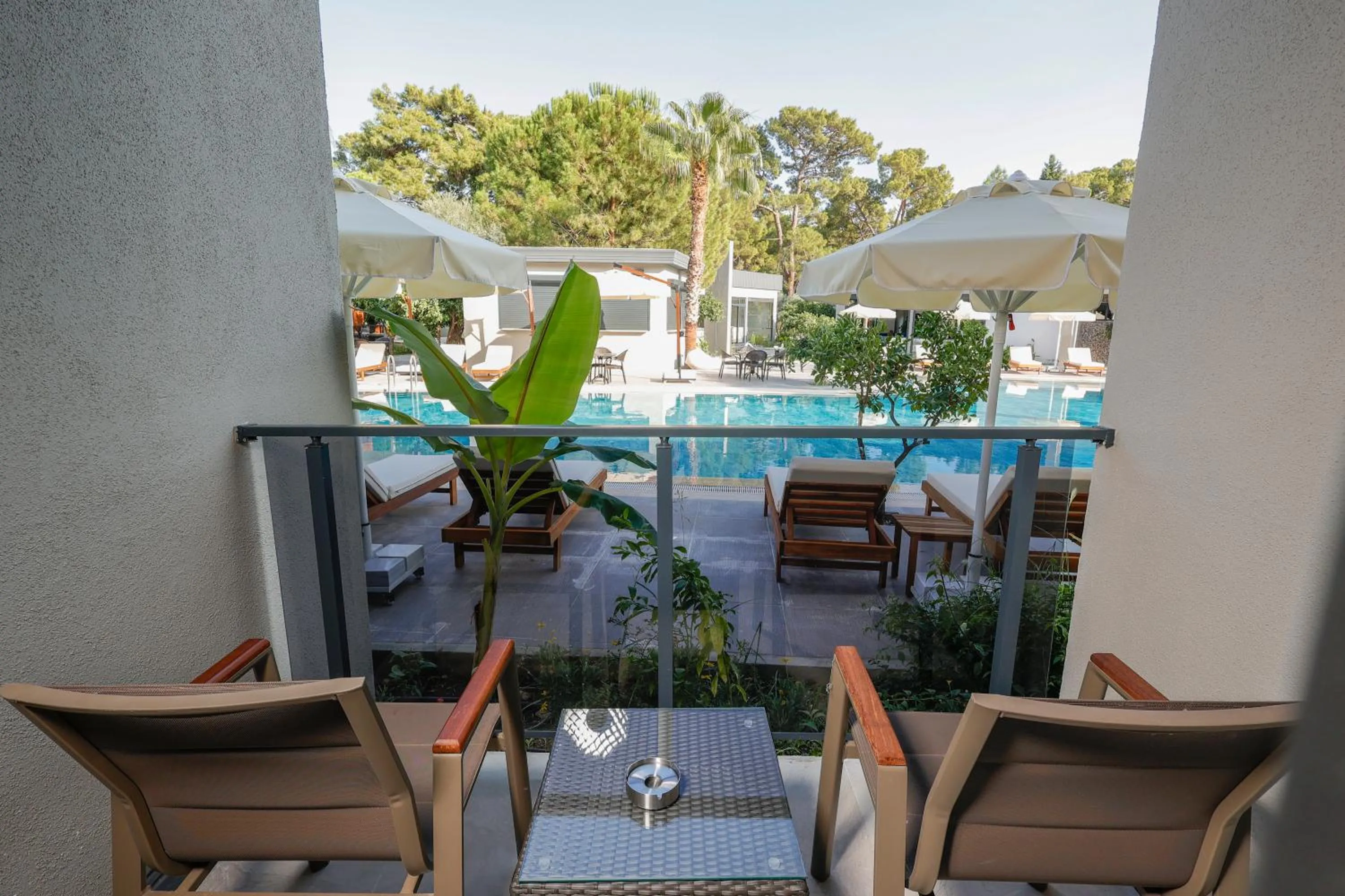 Day in Forest In Hotel