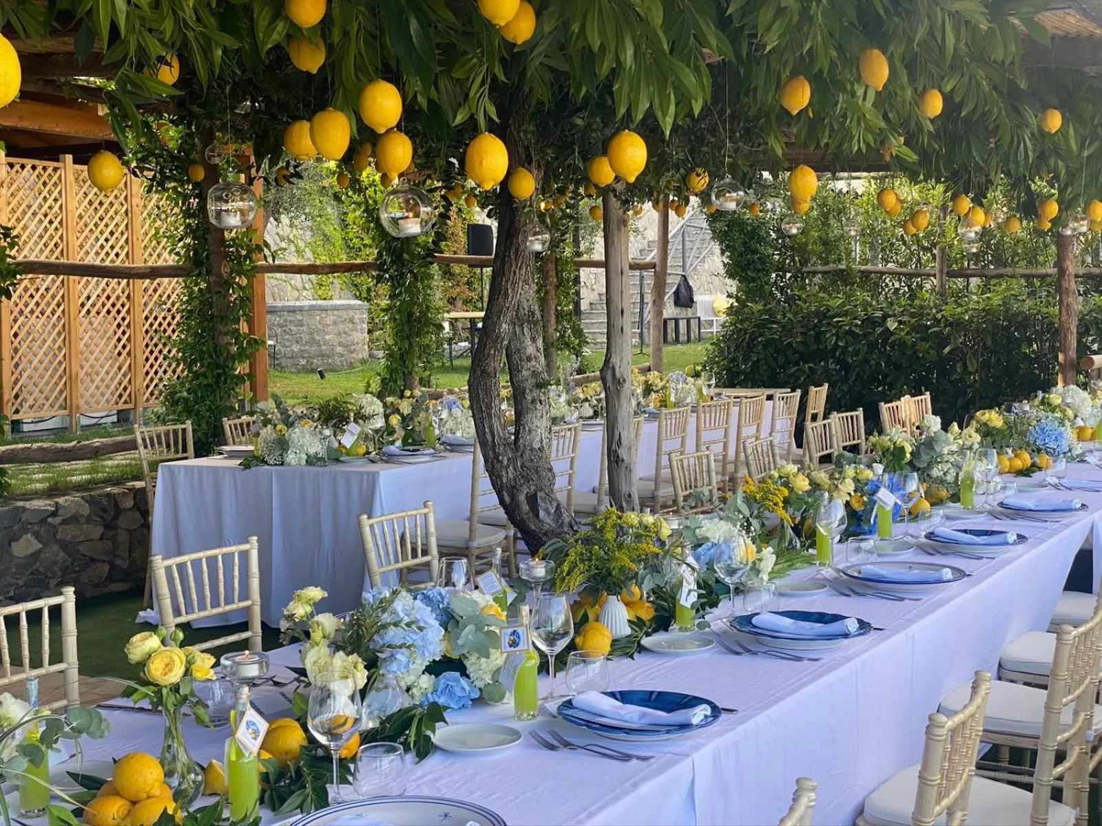 Garden in Palazzo Pascal