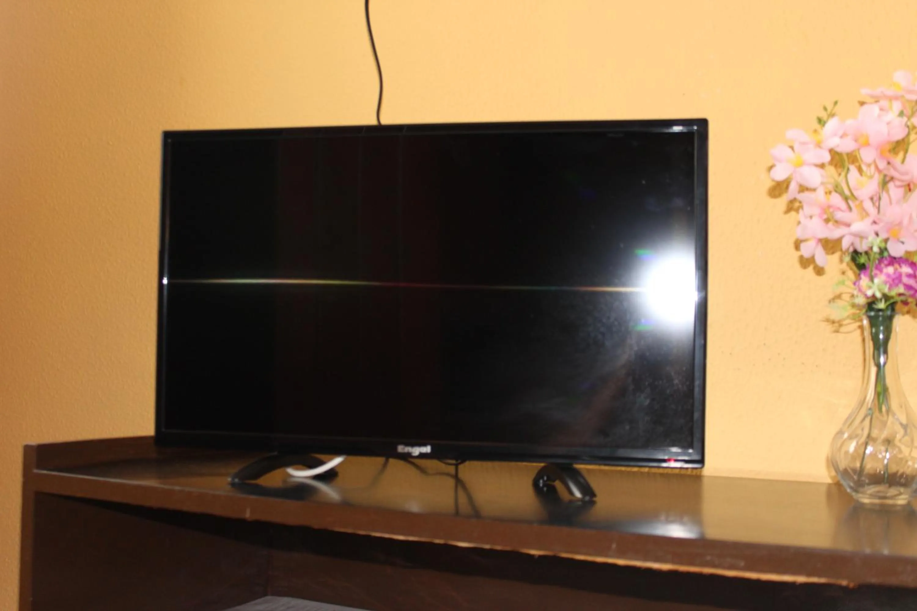 TV and multimedia in Hotel Olympia