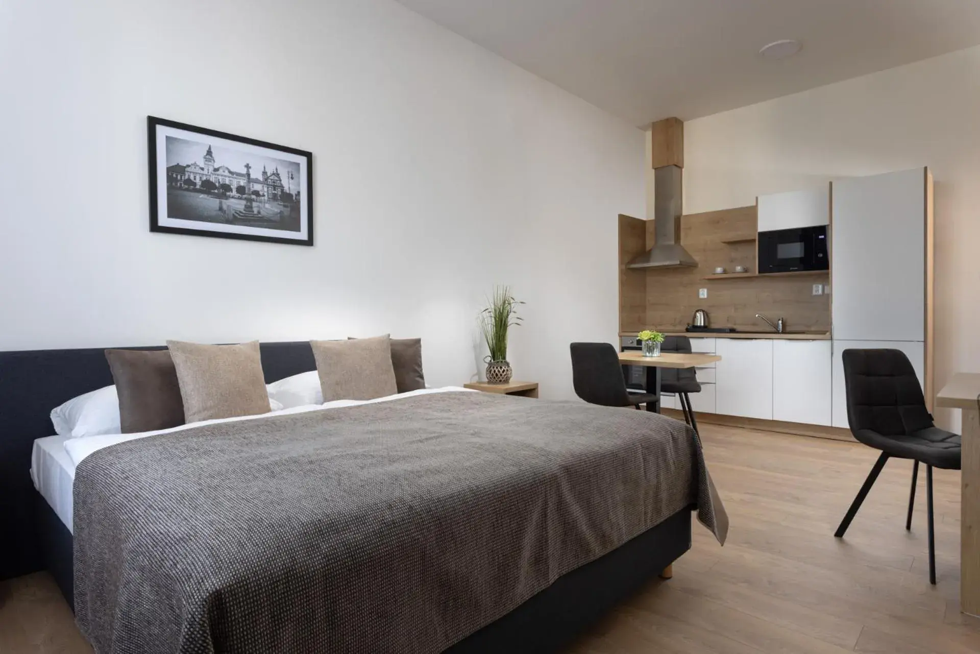 Deluxe Studio with Kitchen in Residence Morris Mladá Boleslav Deluxe Studio with Kitchen in Residence Morris Mladá Boleslav