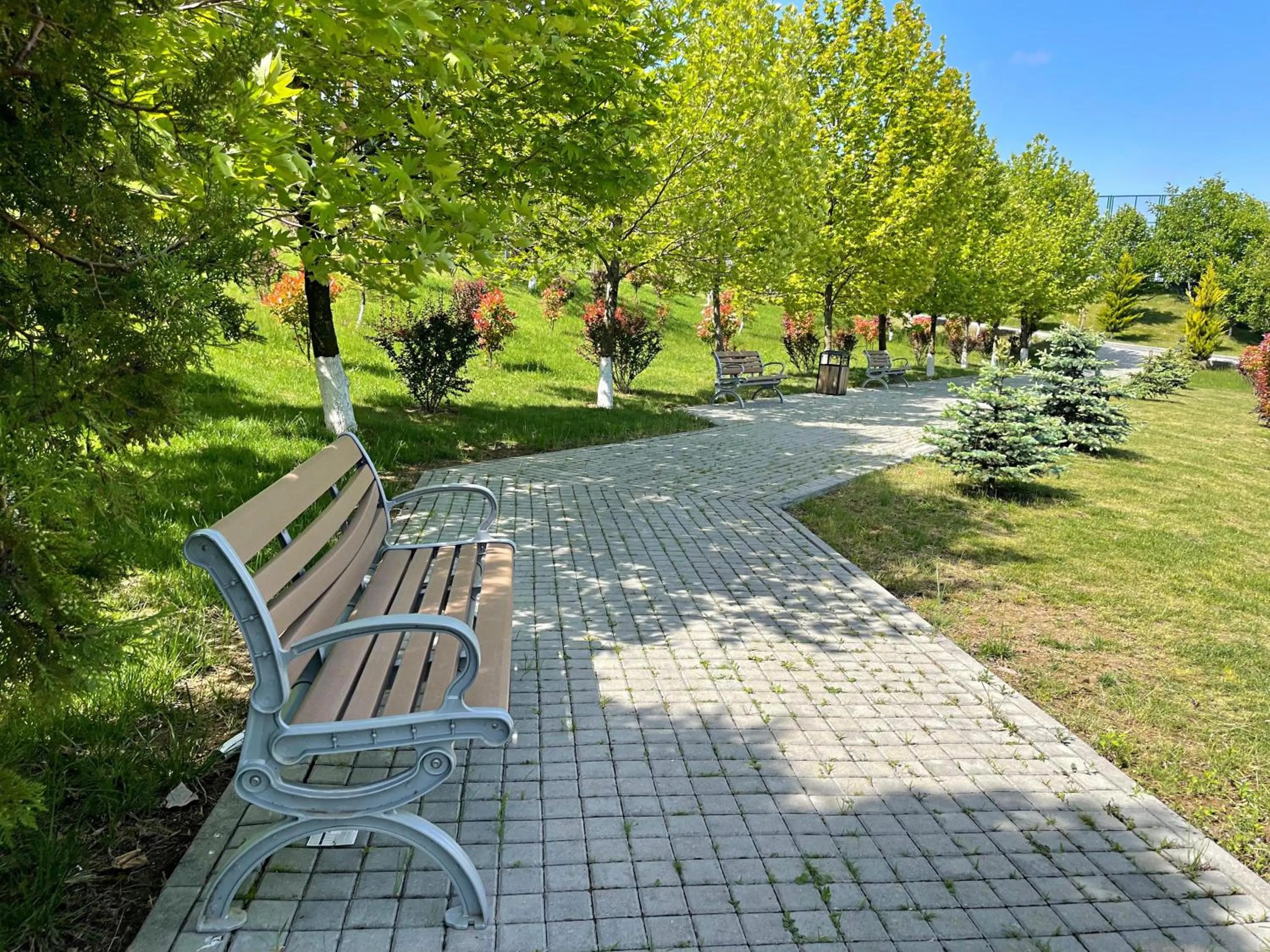 Garden in Arena Grand Hotel