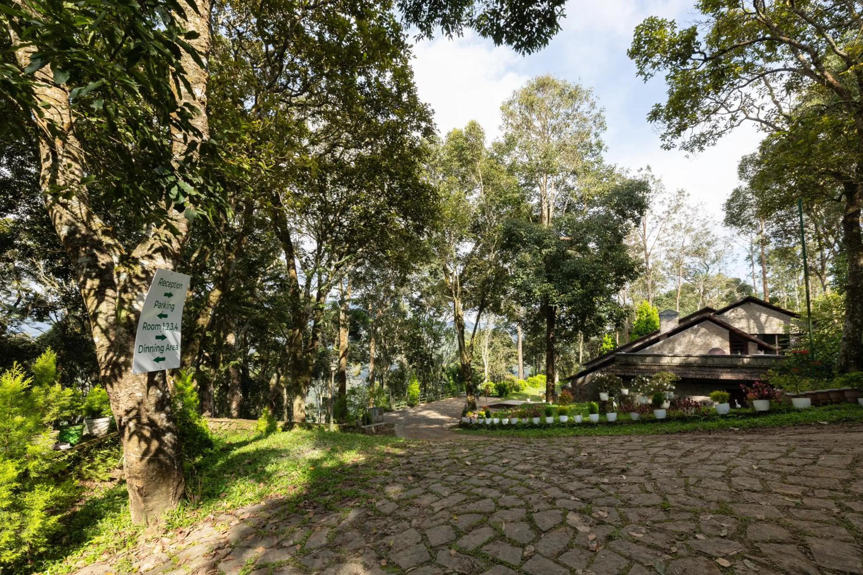 Day in Avadale Munnar (Stag Groups Not Allowed)