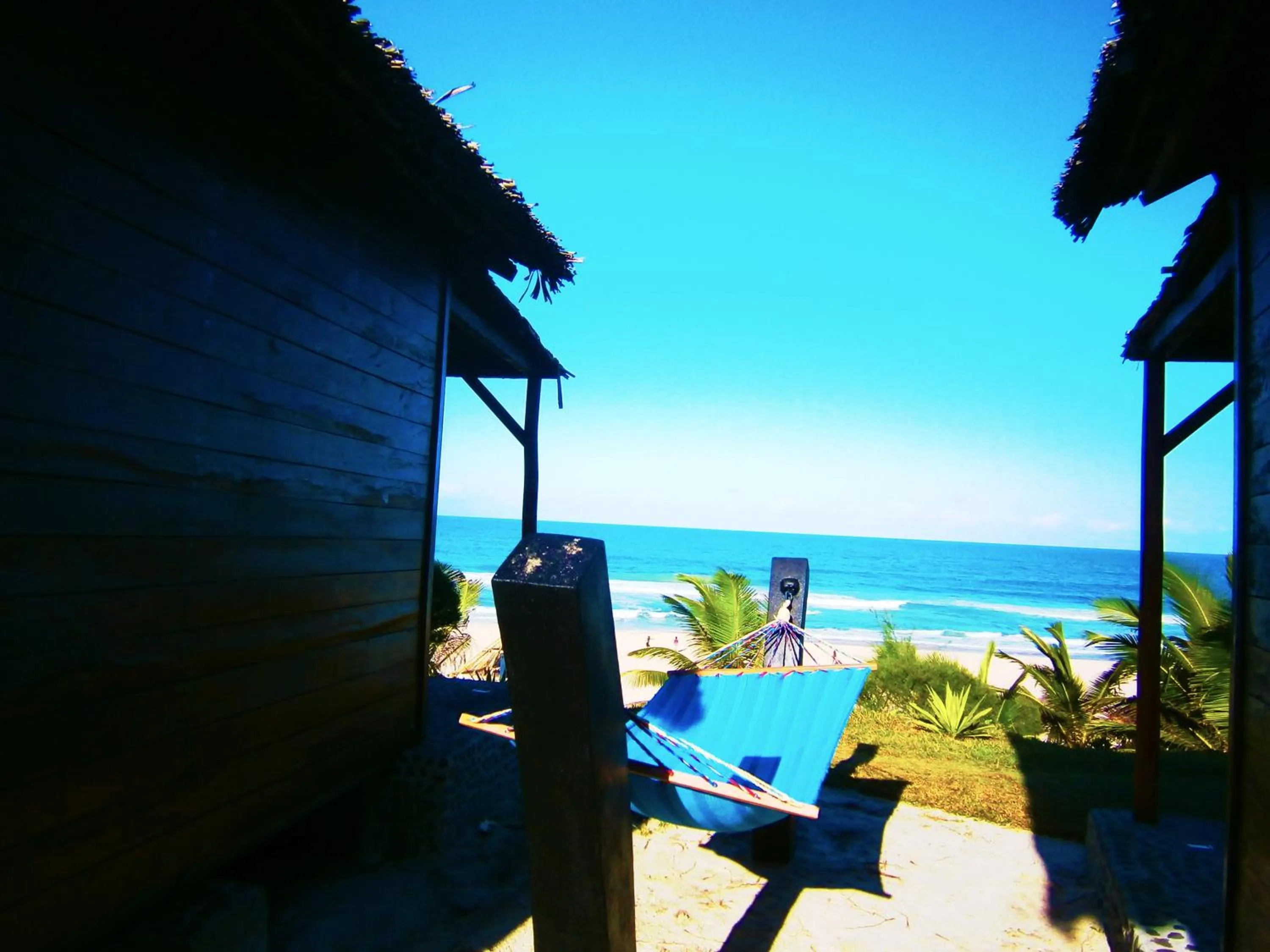 Balcony/Terrace in Hotel Ecolodge Riake Resort & Villa