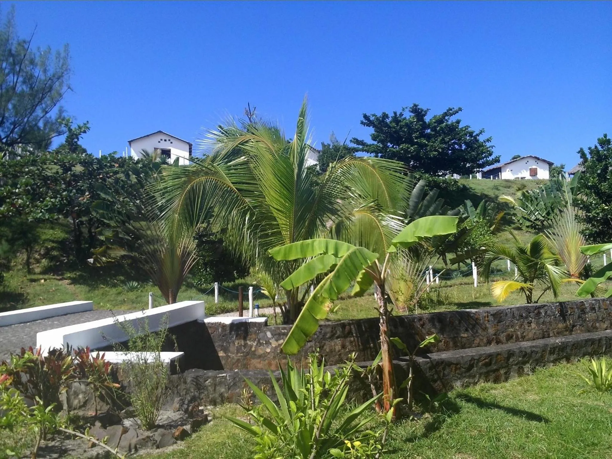 Garden view in Hotel Ecolodge Riake Resort & Villa