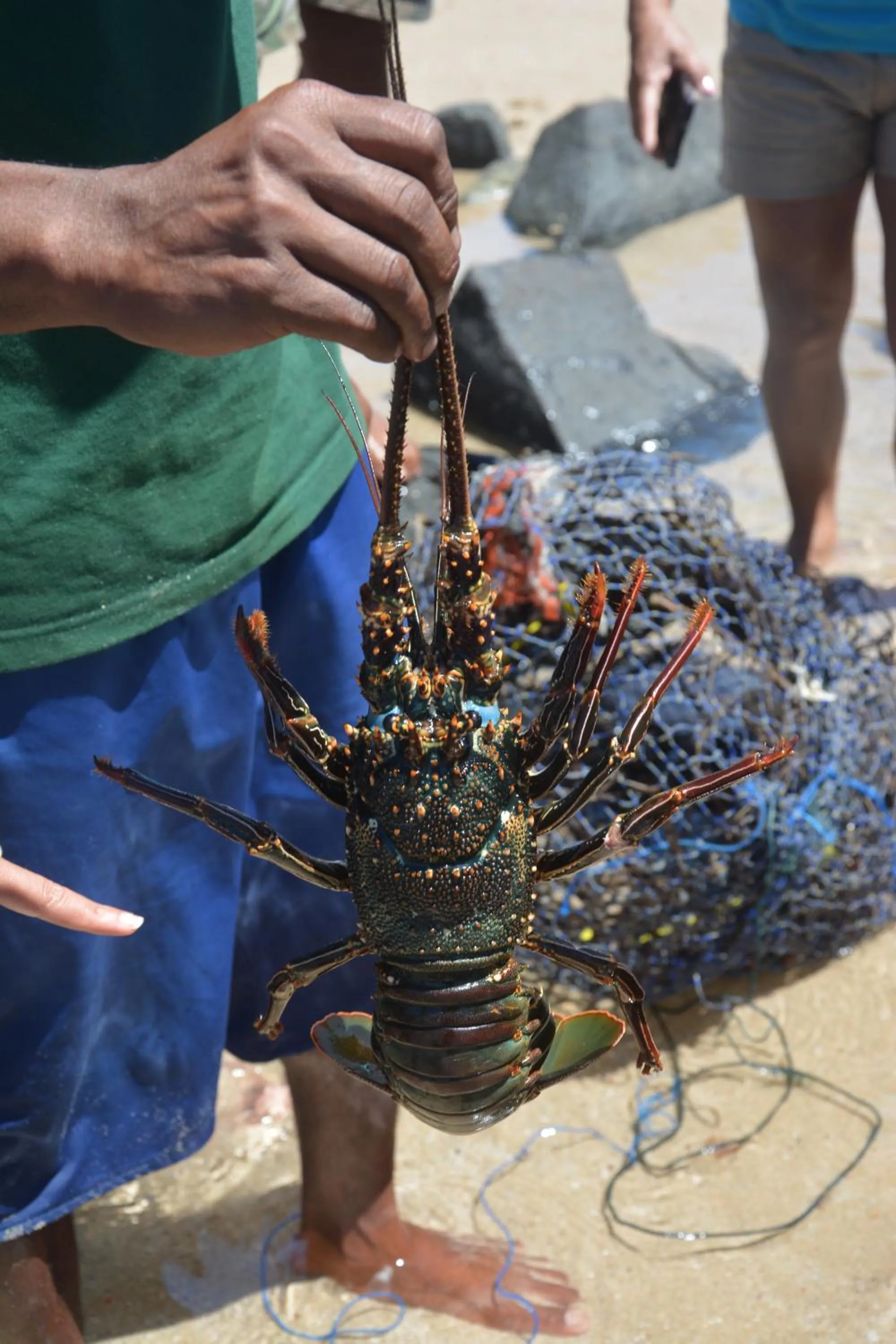 Beach in Hotel Ecolodge Riake Resort & Villa