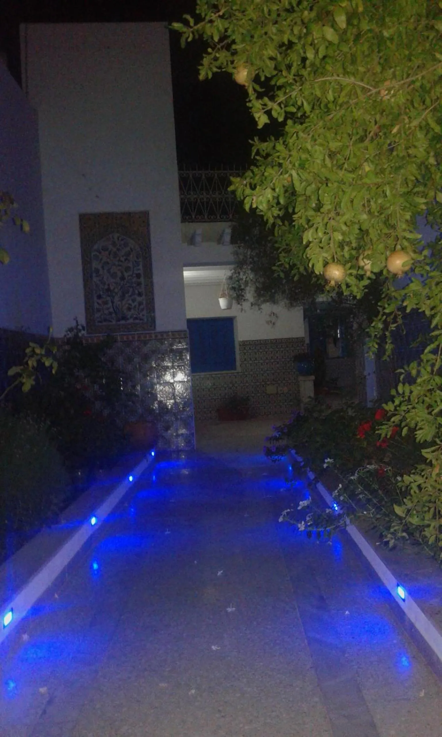 Garden in Dar El Goulli