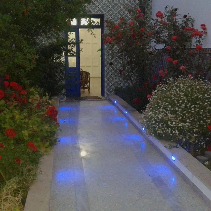 Garden in Dar El Goulli