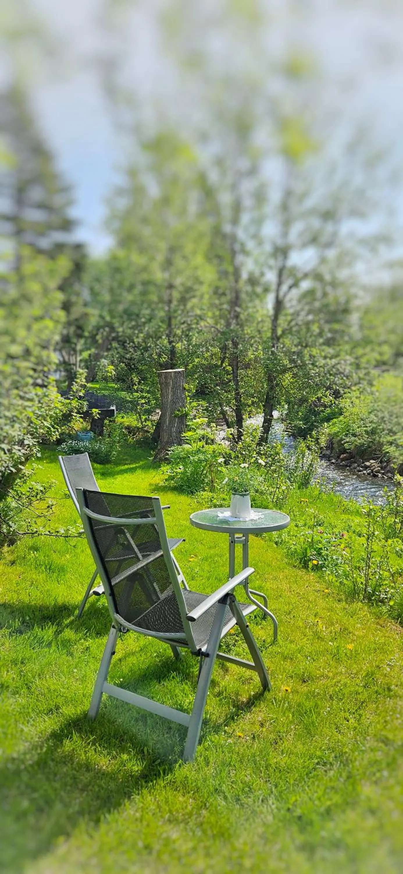 Garden in Árból Guesthouse
