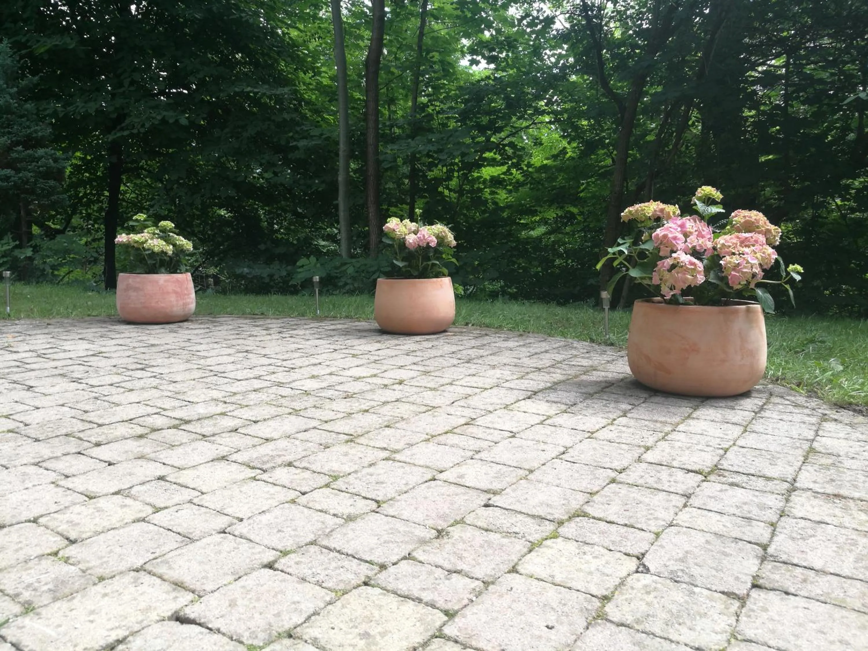 Garden in Apartments Bassanese