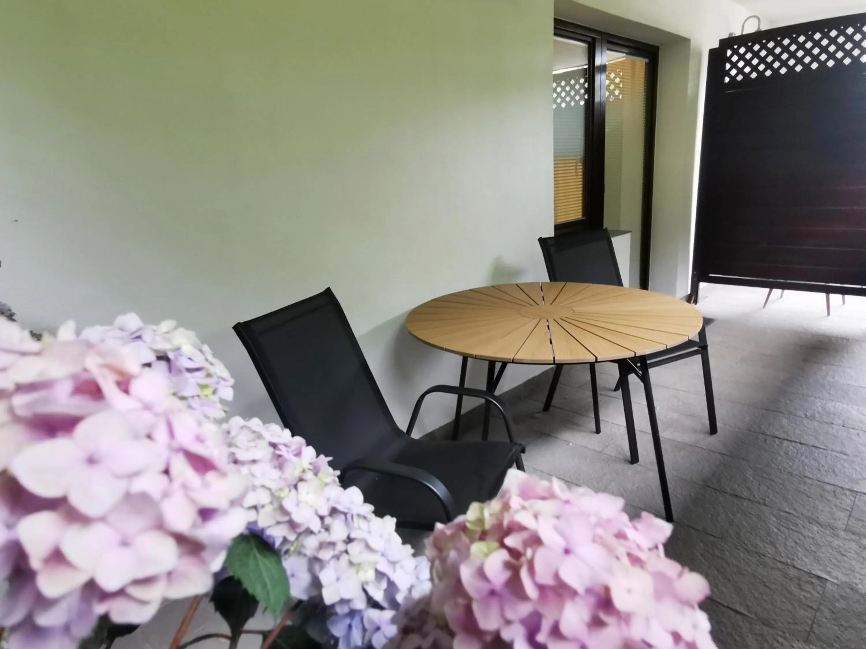 Balcony/Terrace in Apartments Bassanese