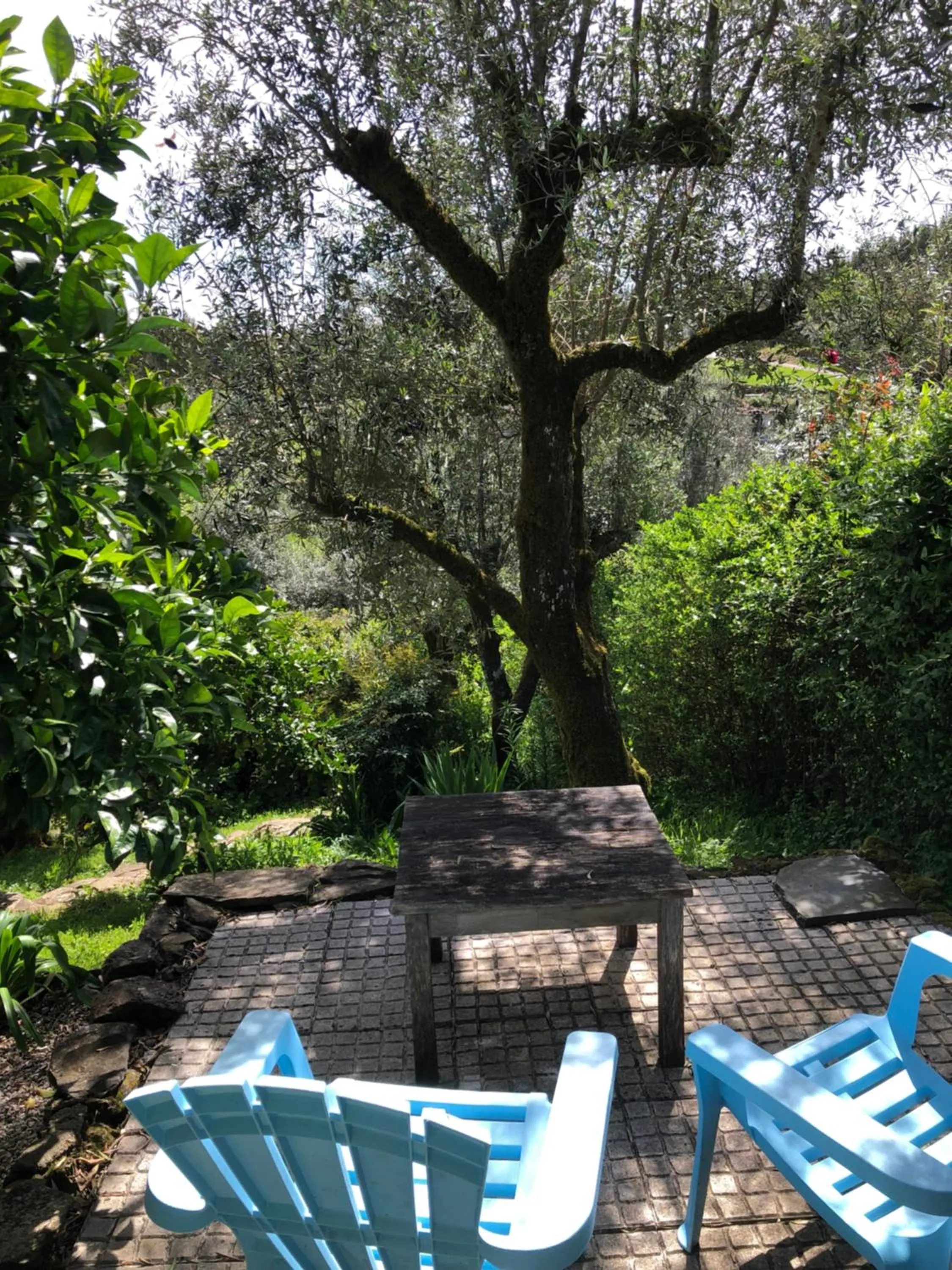 Garden in House Of The Three Marias