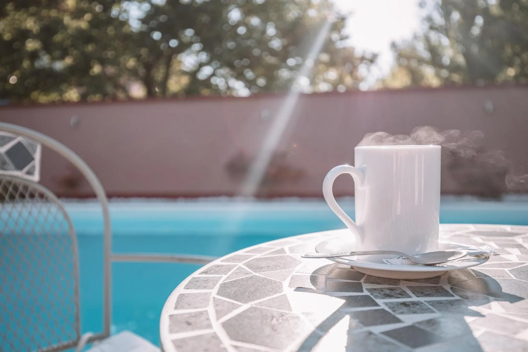 Swimming pool in Villa Biser Dunava