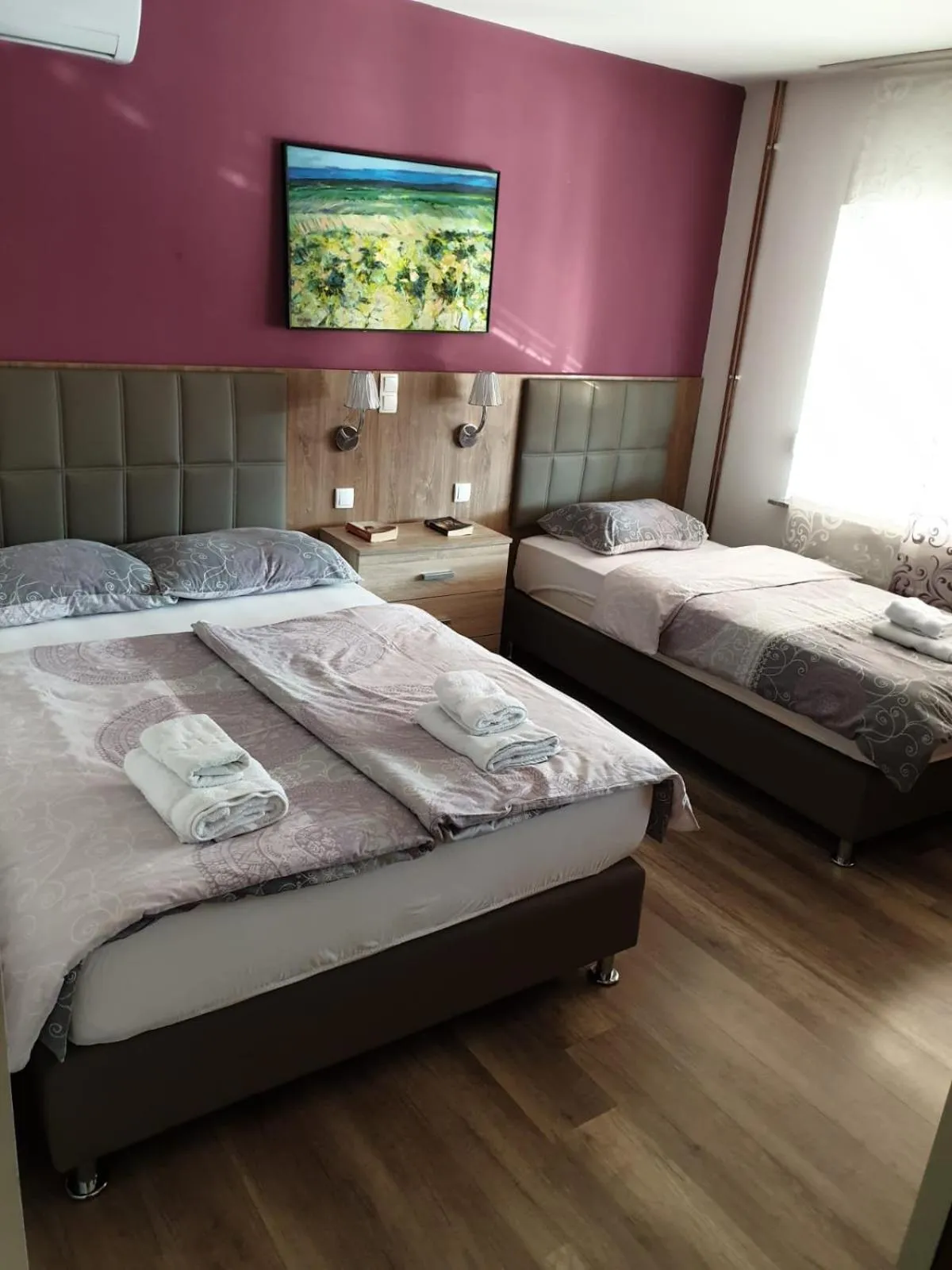 Deluxe Double or Twin Room - single occupancy in Villa Biser Dunava