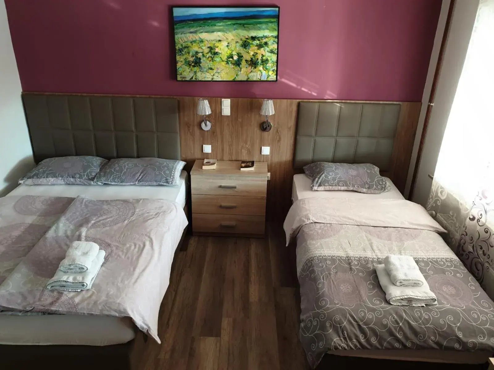 Deluxe Double or Twin Room - single occupancy in Villa Biser Dunava Deluxe Double or Twin Room - single occupancy in Villa Biser Dunava