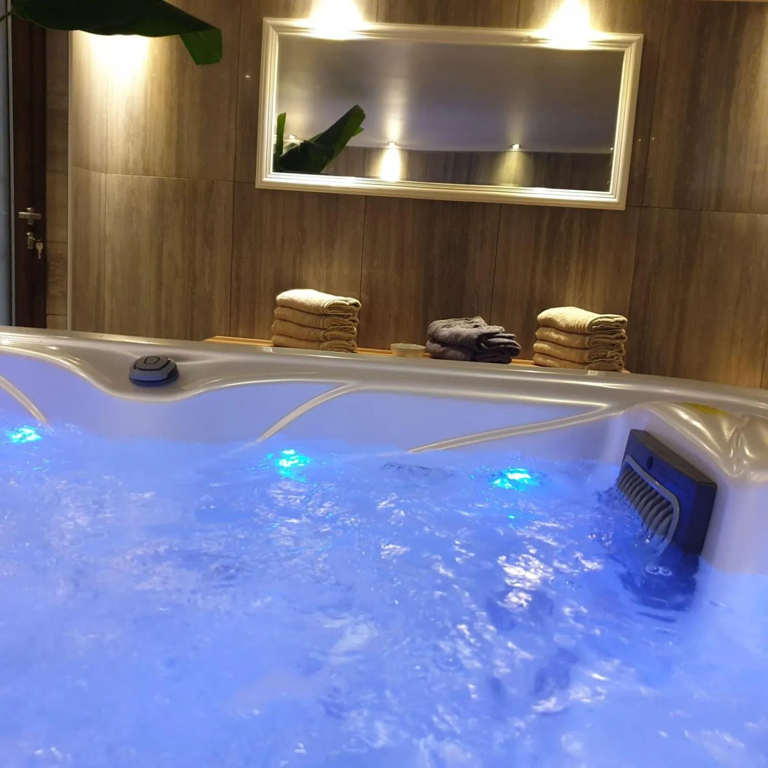 Hot Tub in Villa Biser Dunava