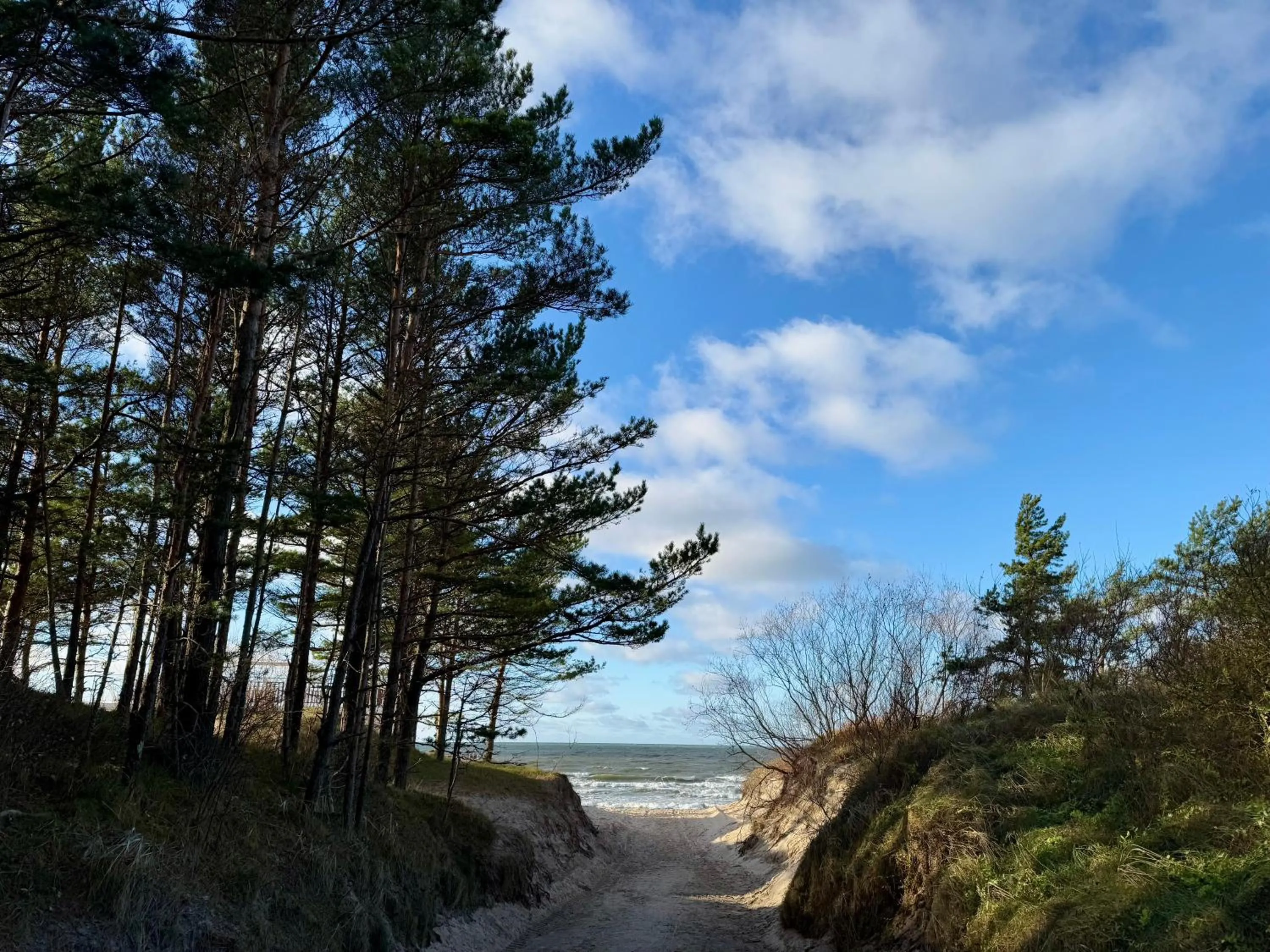 Palangos Dailė Self Check-in