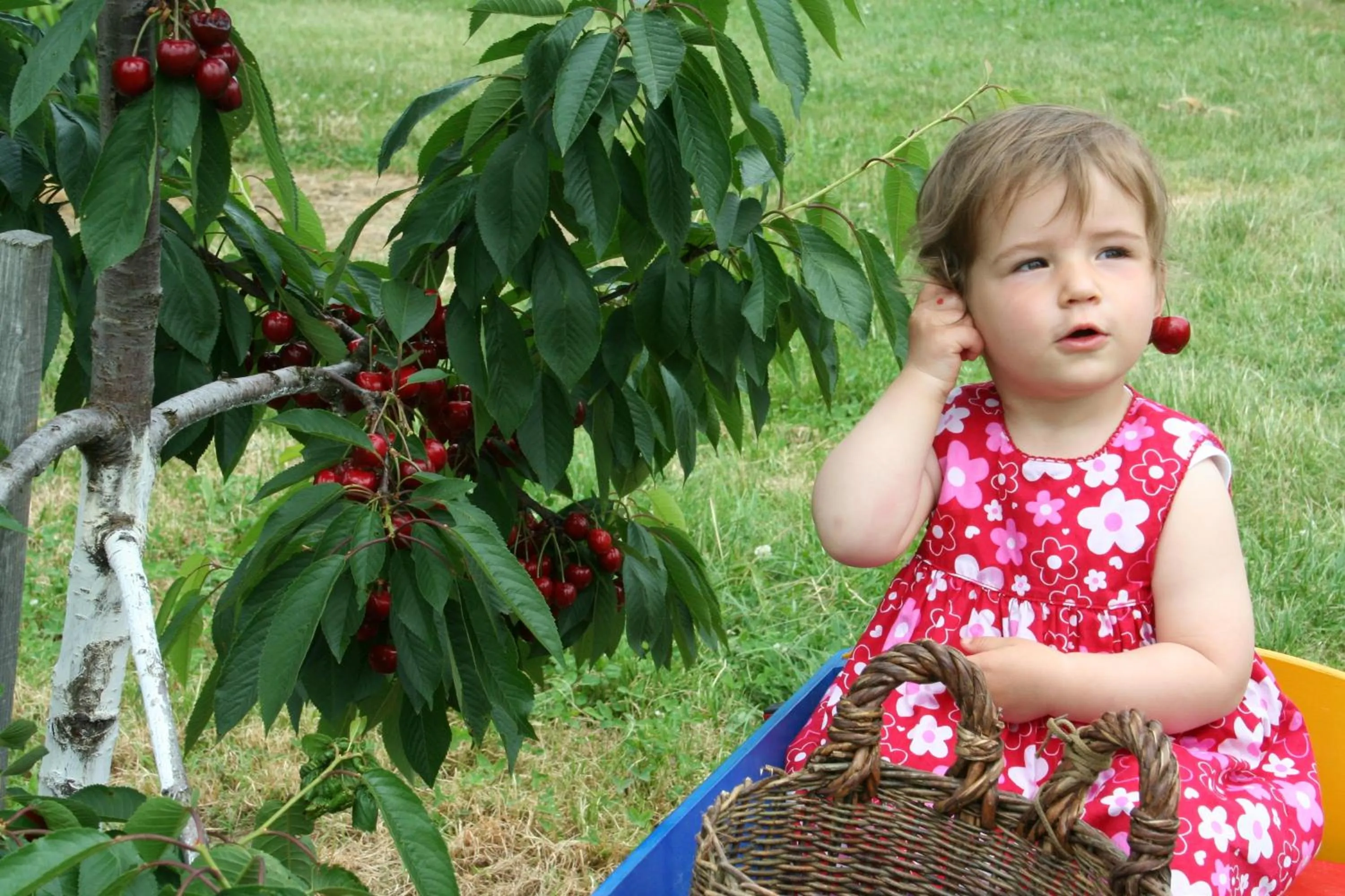 Summer in Gut Hügle Erlebnishof