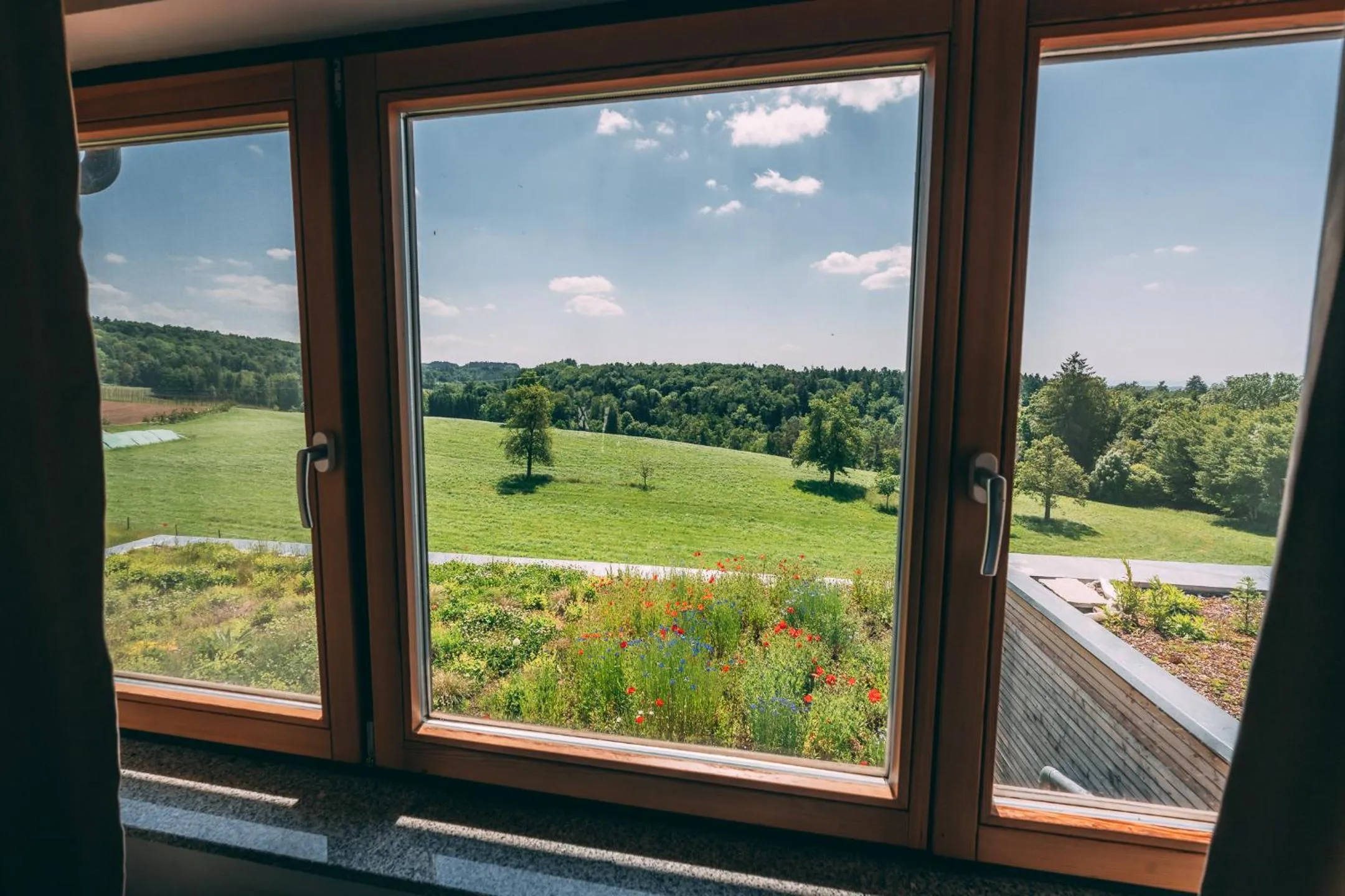 View (from property/room) in Gut Hügle Erlebnishof