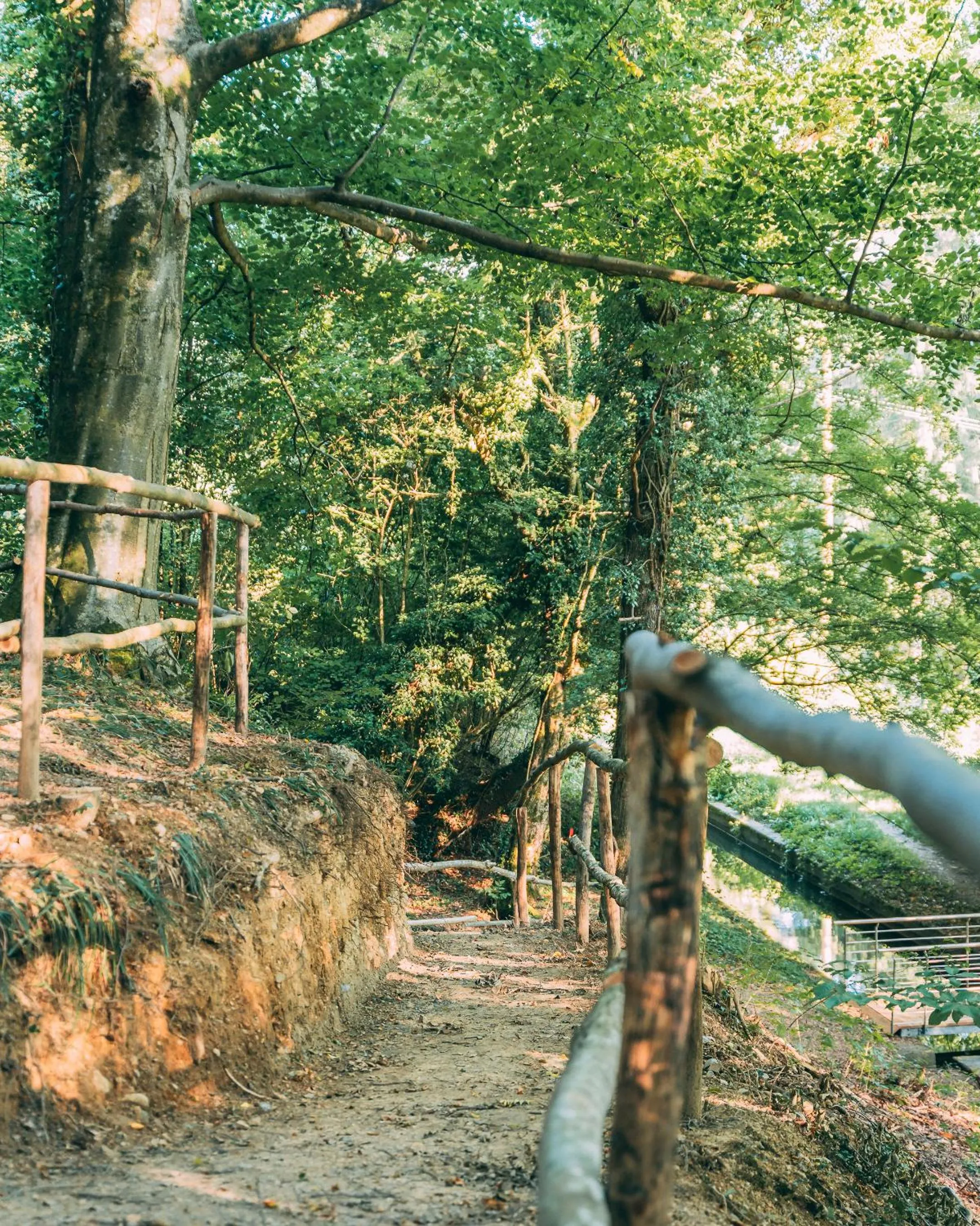 Hiking in Gut Hügle Erlebnishof