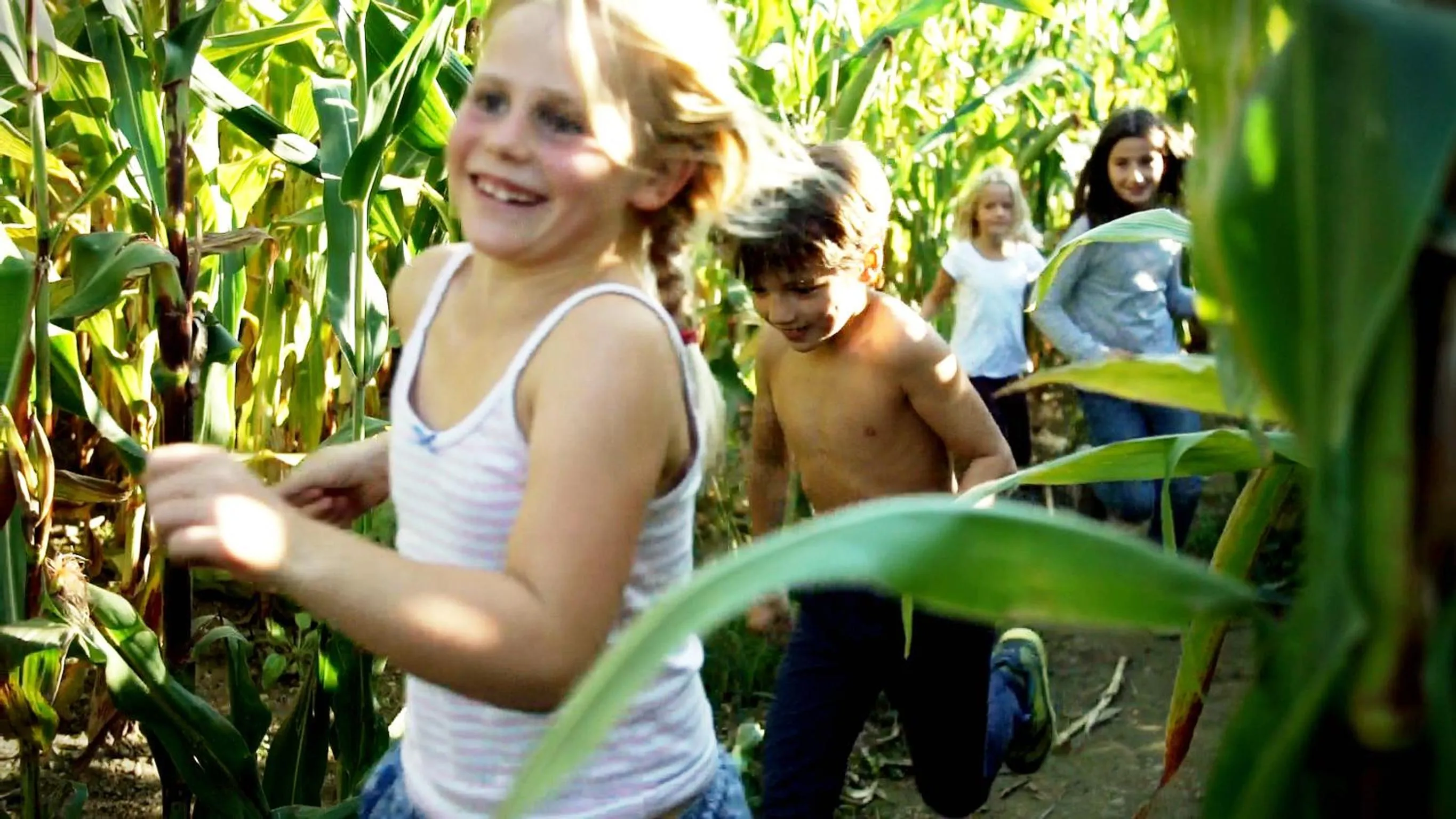 Children play ground in Gut Hügle Erlebnishof