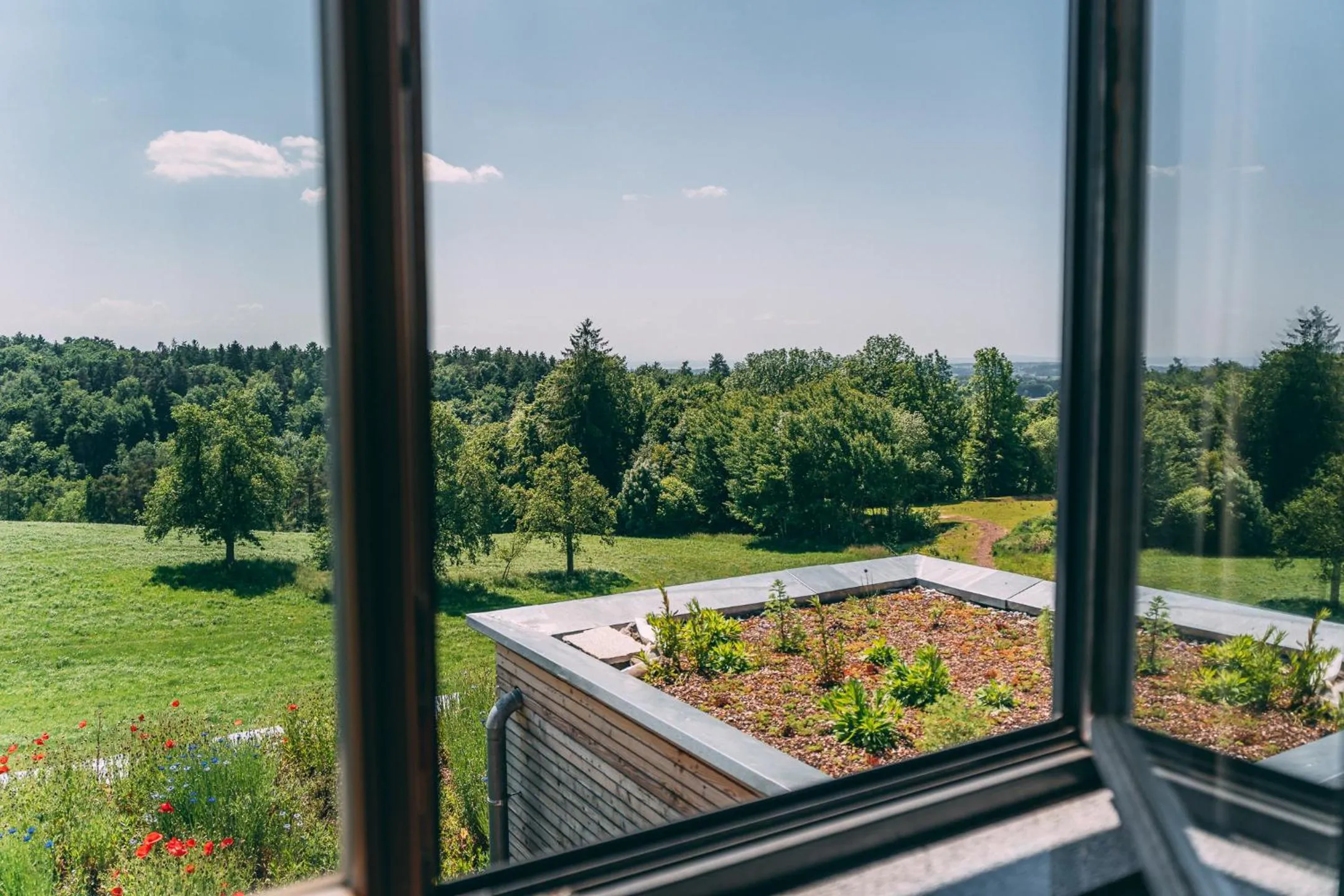 View (from property/room) in Gut Hügle Erlebnishof