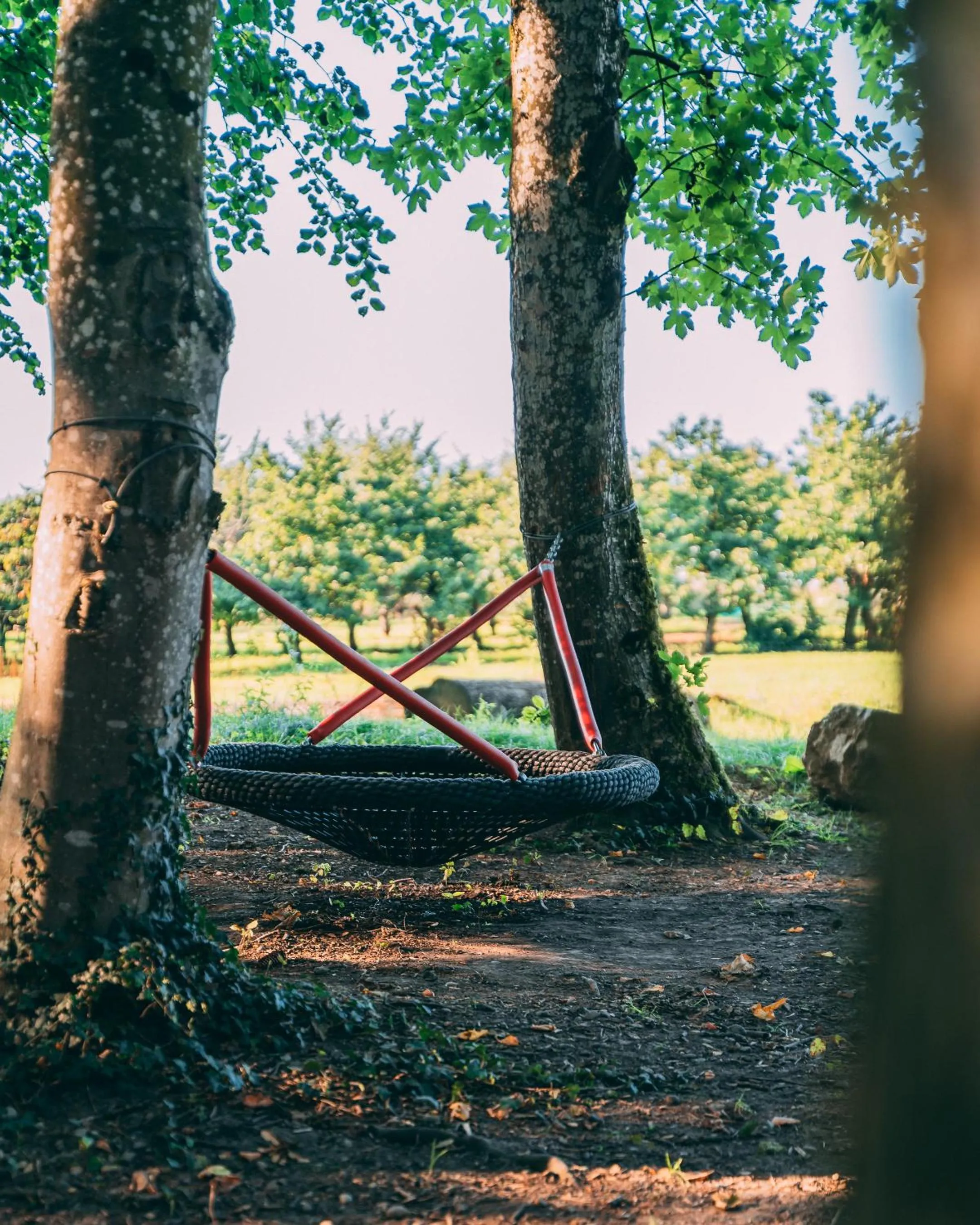 Hiking in Gut Hügle Erlebnishof