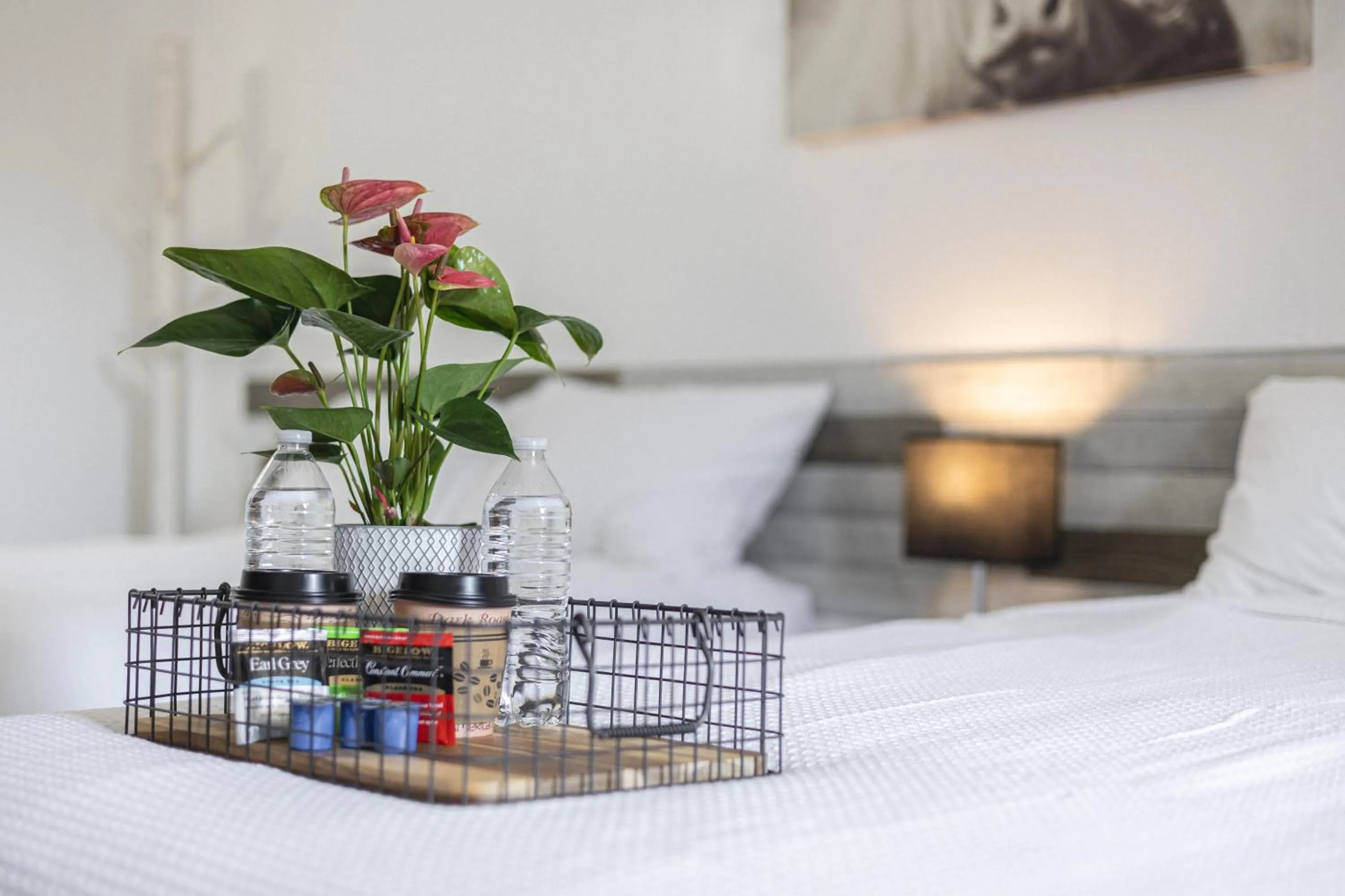 Photo of the whole room, Bed in Copperhead Lodge