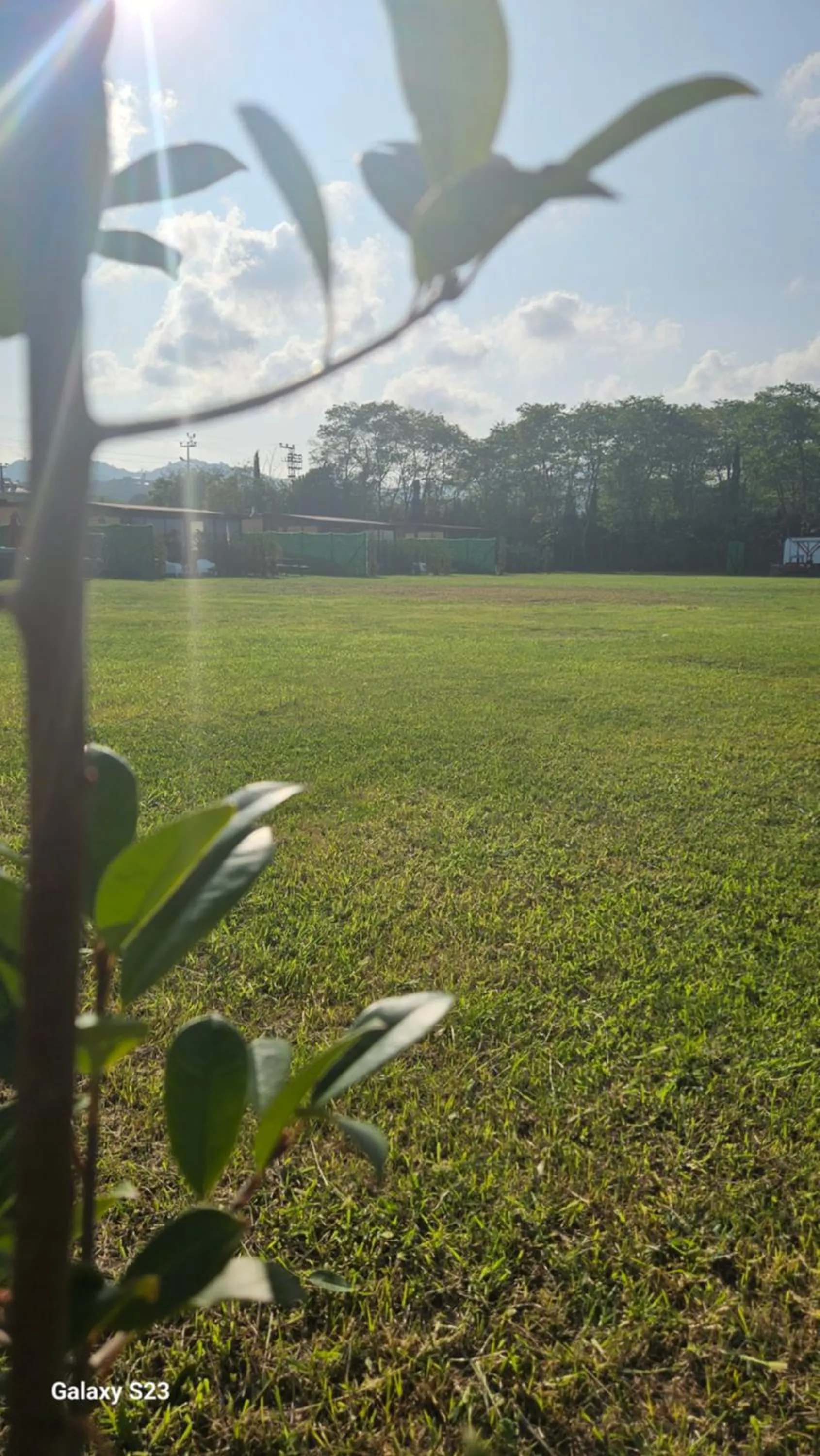 Garden in Eva tatil evleri