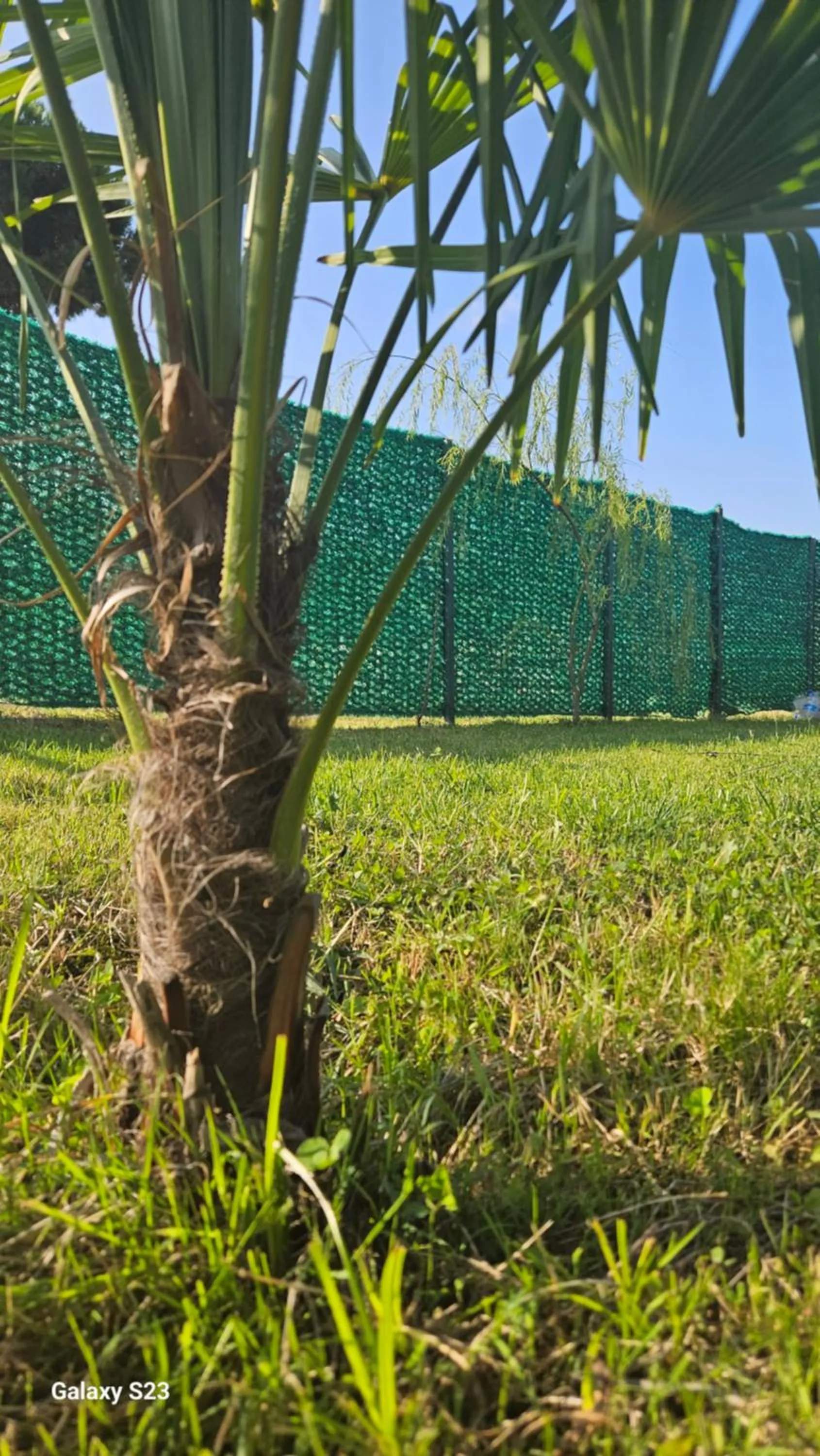 Garden in Eva tatil evleri