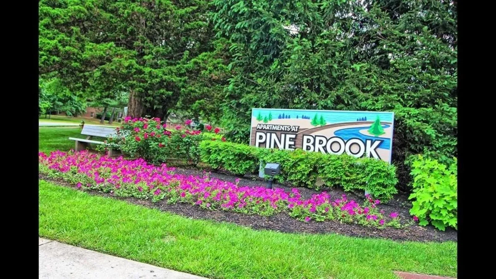 Pine Brook 1322 I Pool Gym I Free Parking !