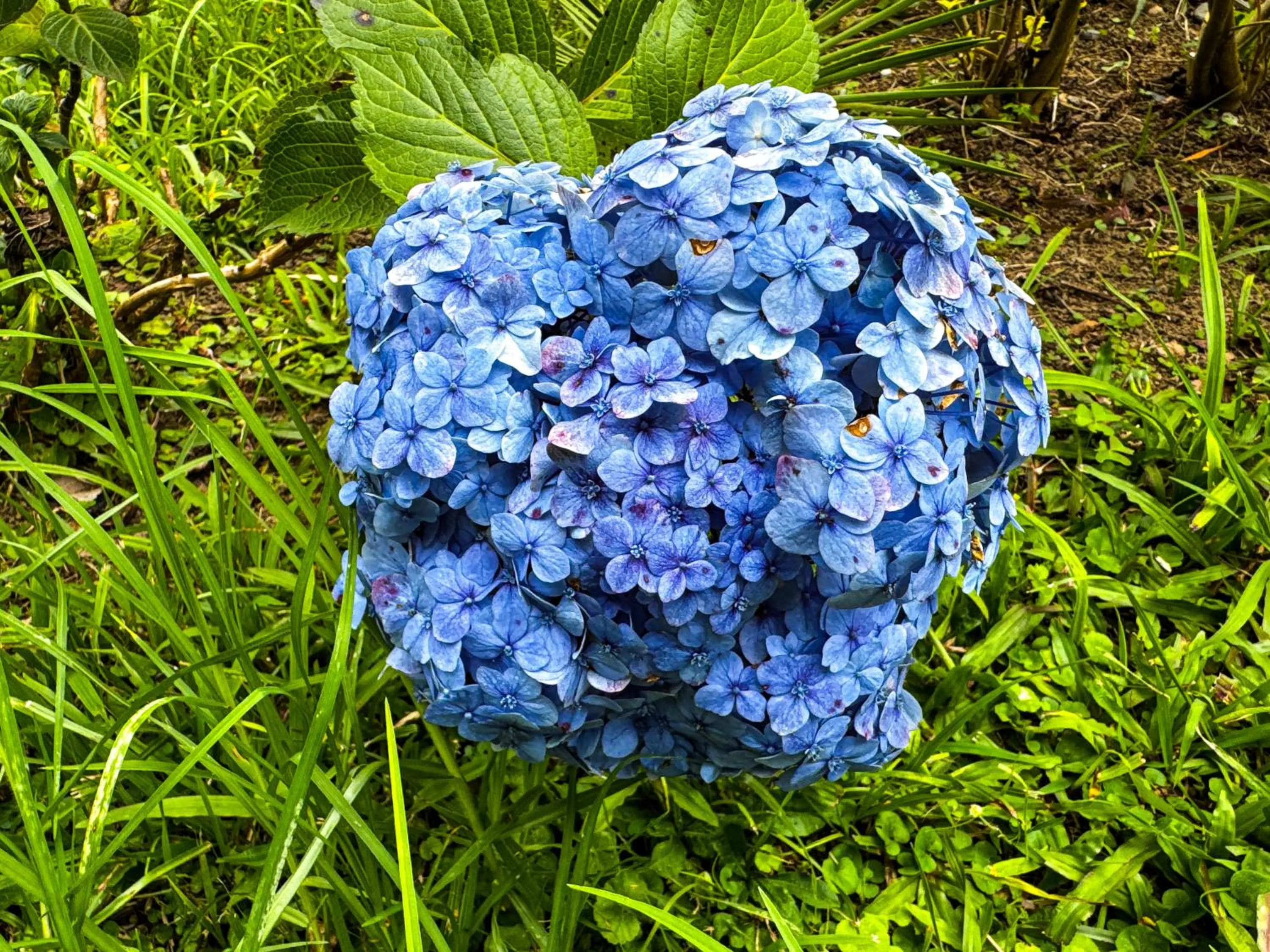 Day in Tierra Maravilla