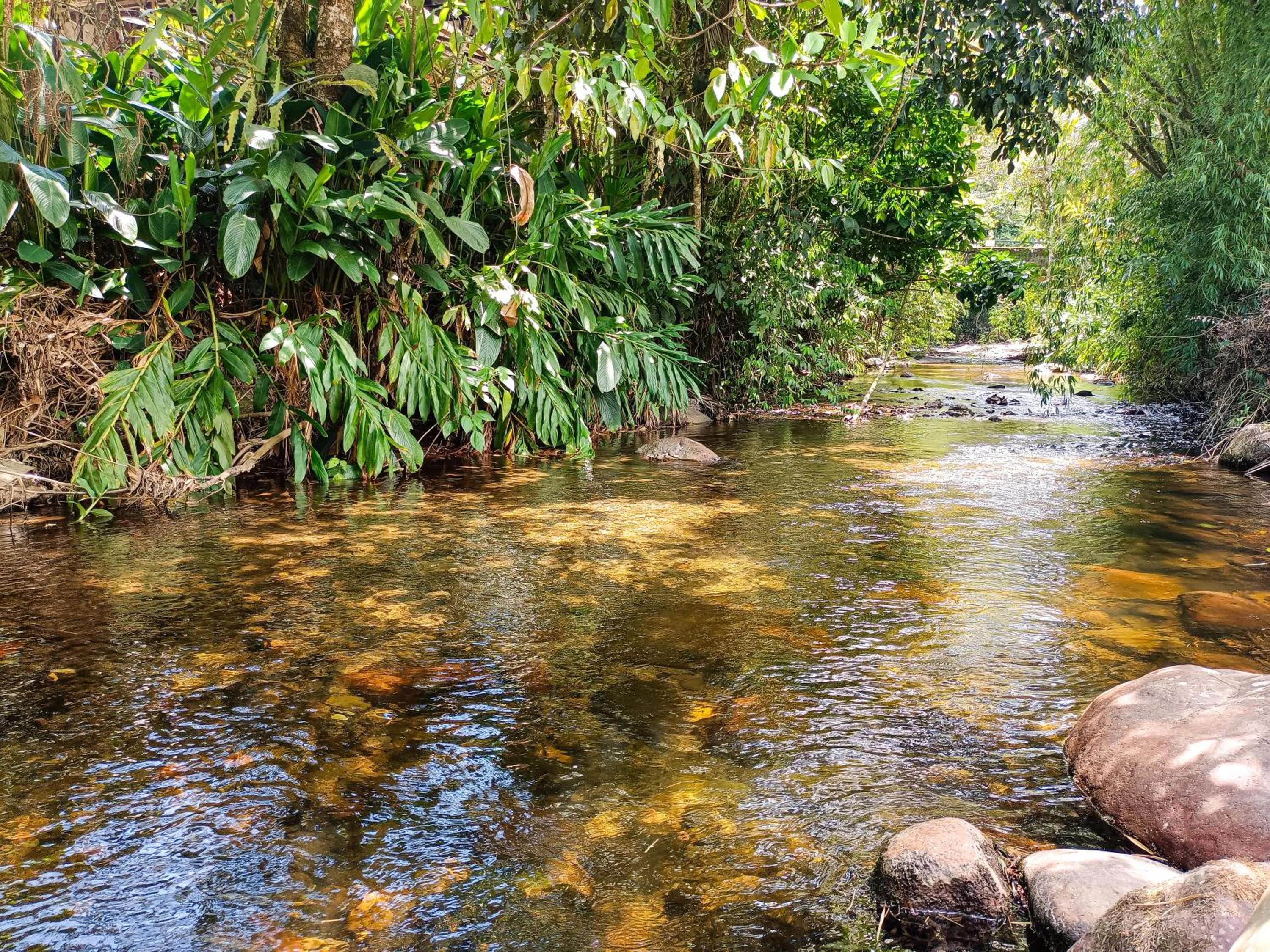 Day in Tierra Maravilla