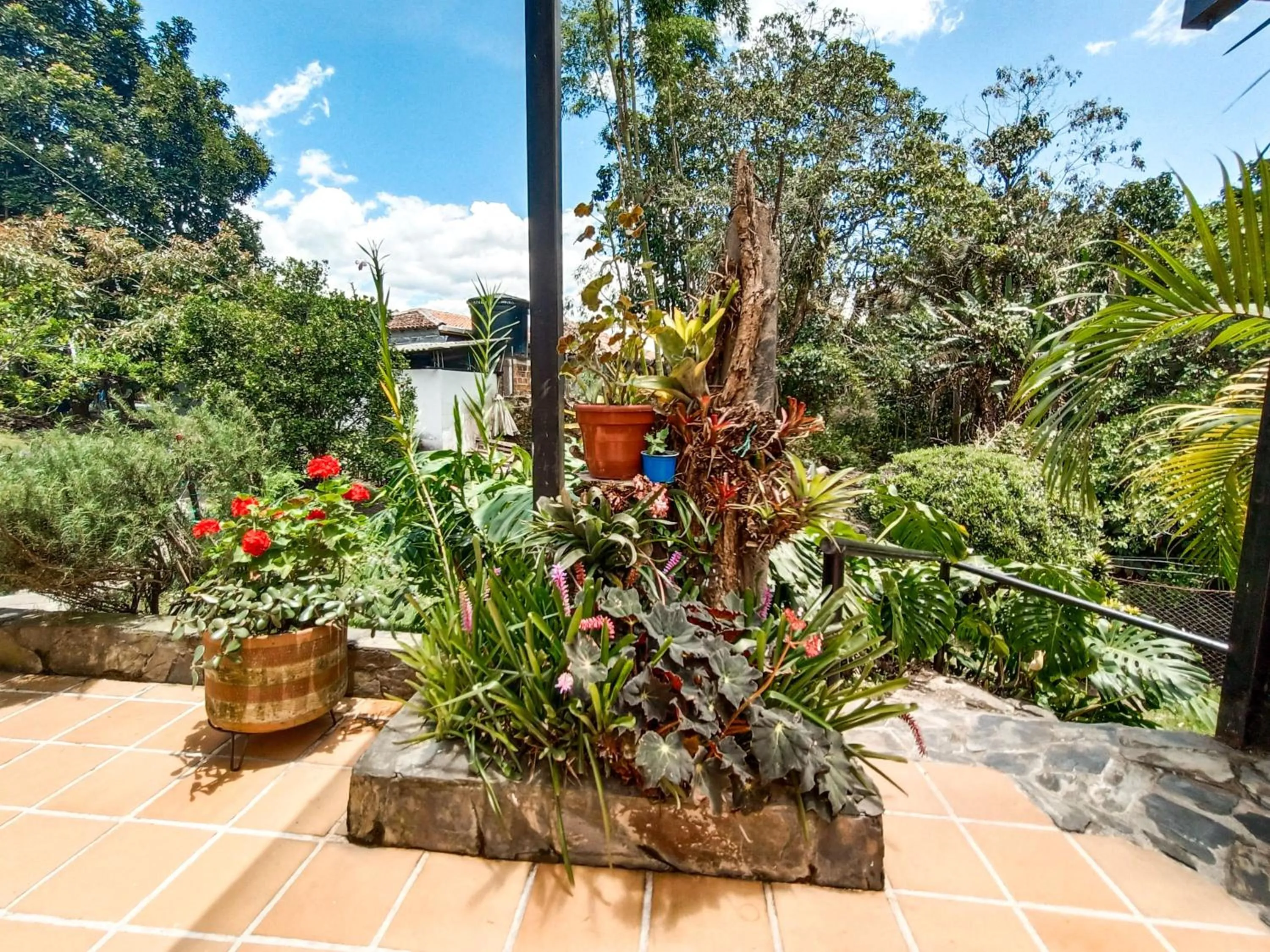 Day in Tierra Maravilla