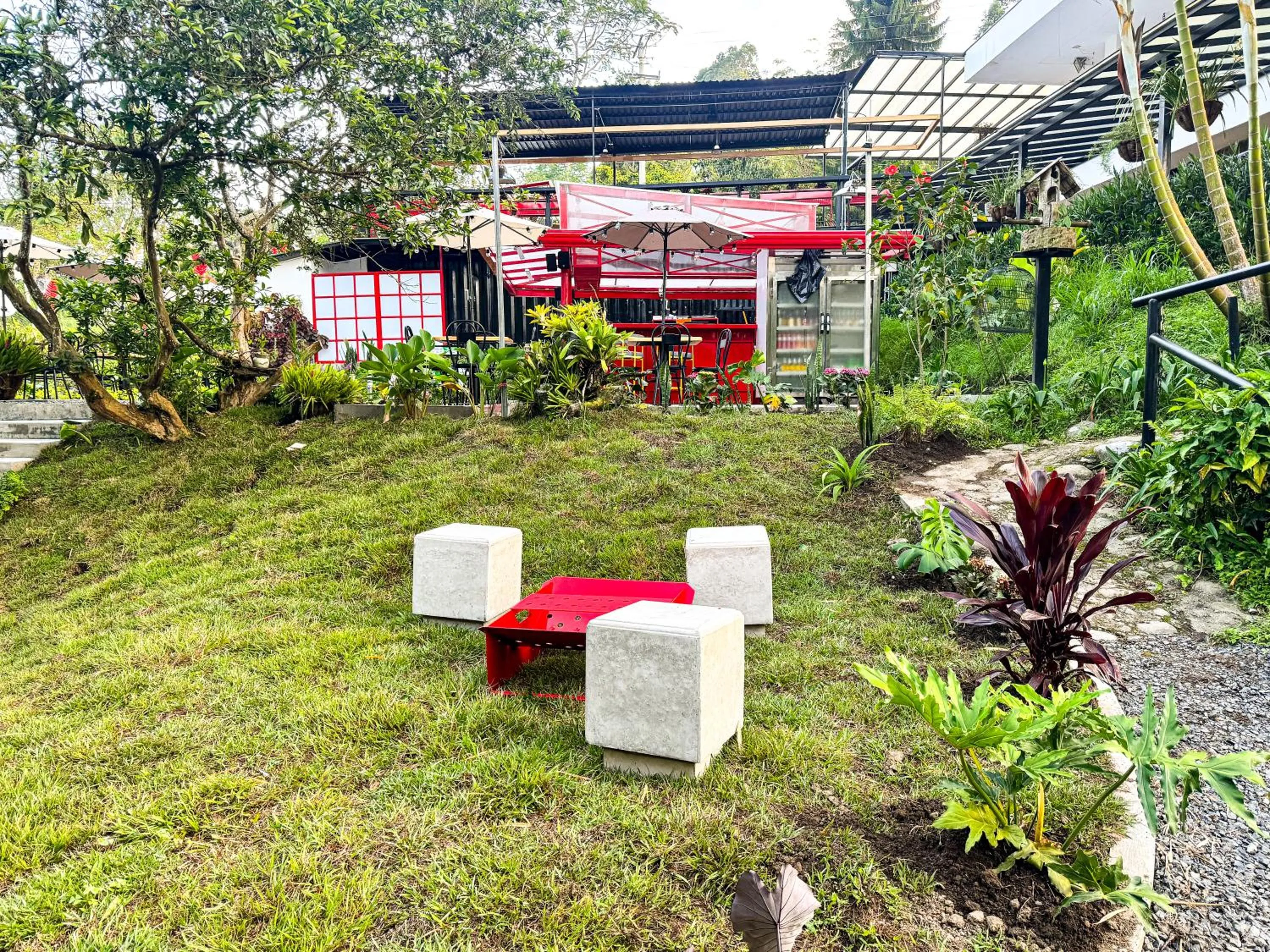 Day in Tierra Maravilla