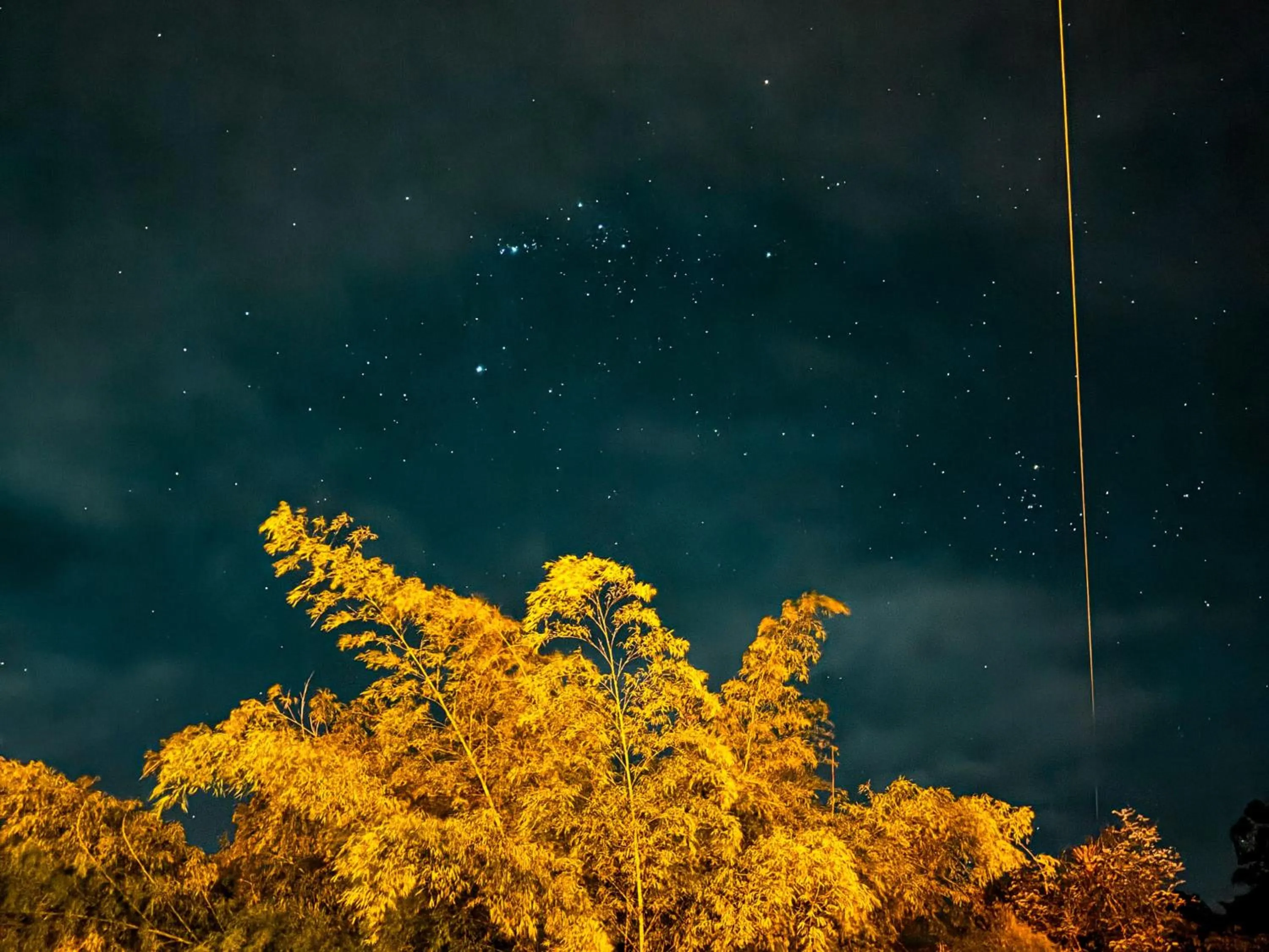 Night in Tierra Maravilla