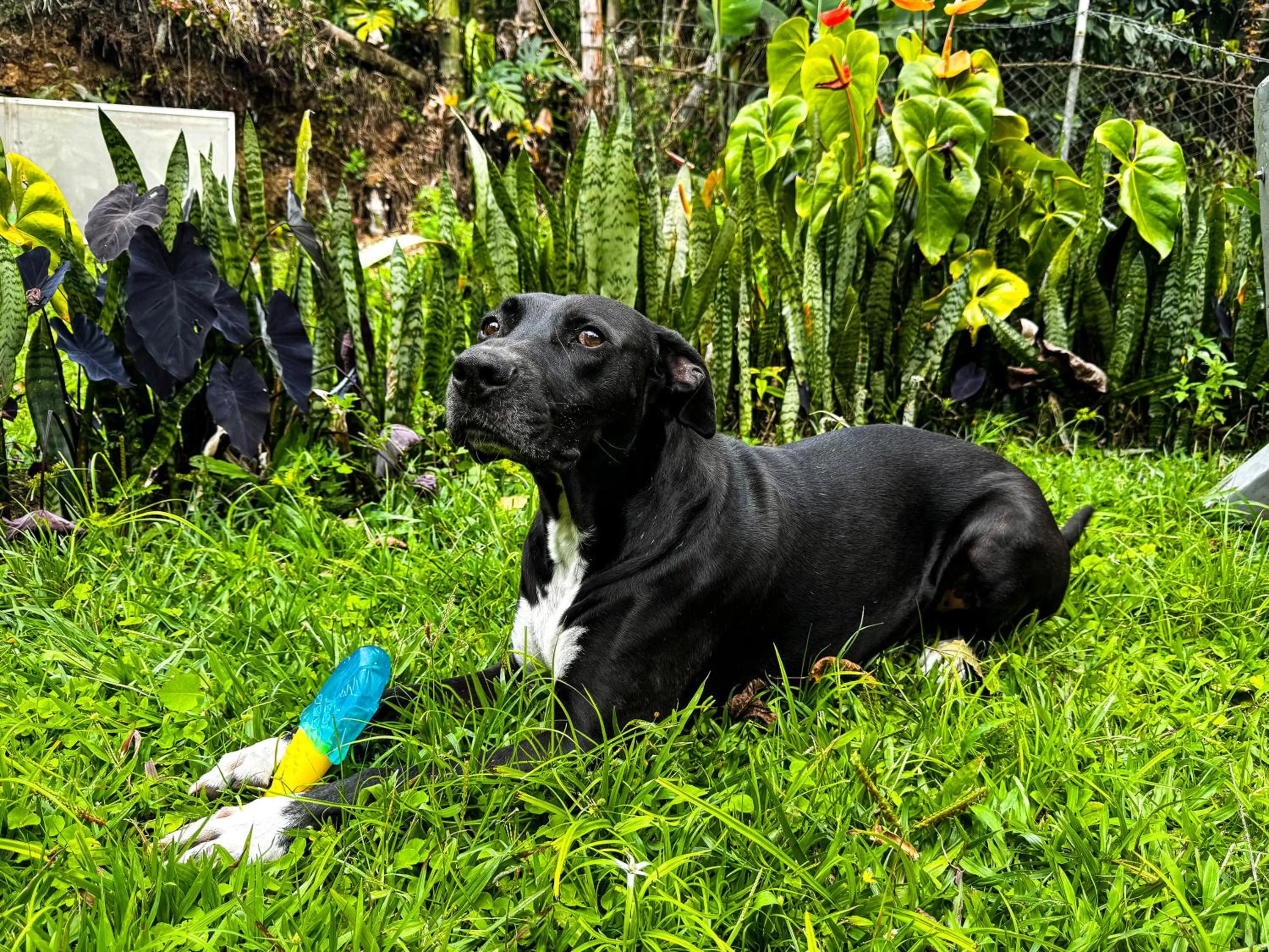 Day in Tierra Maravilla