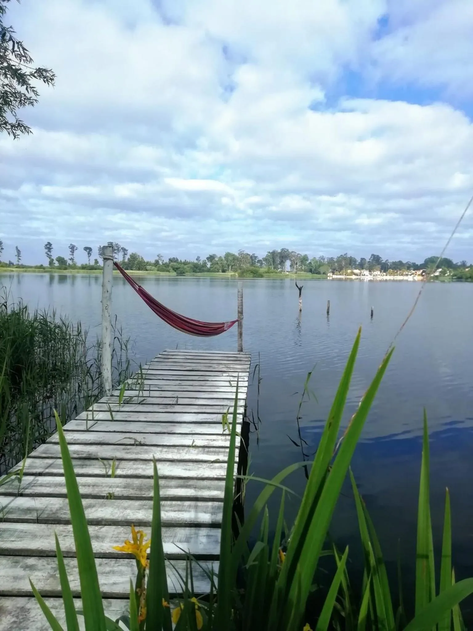 Natural landscape in Granny´s Guesthouse