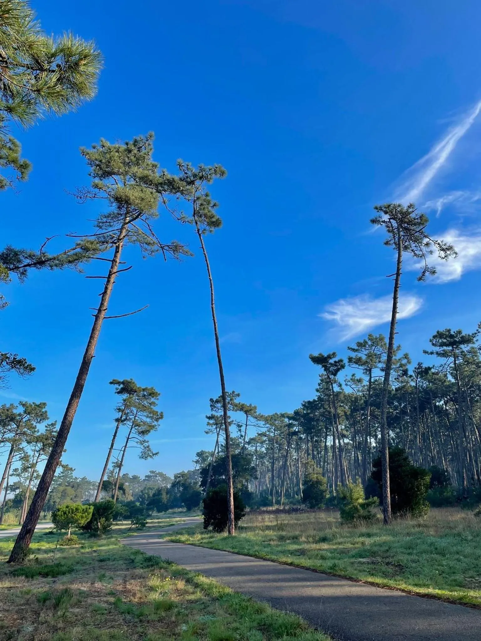 Hiking in Granny´s Guesthouse