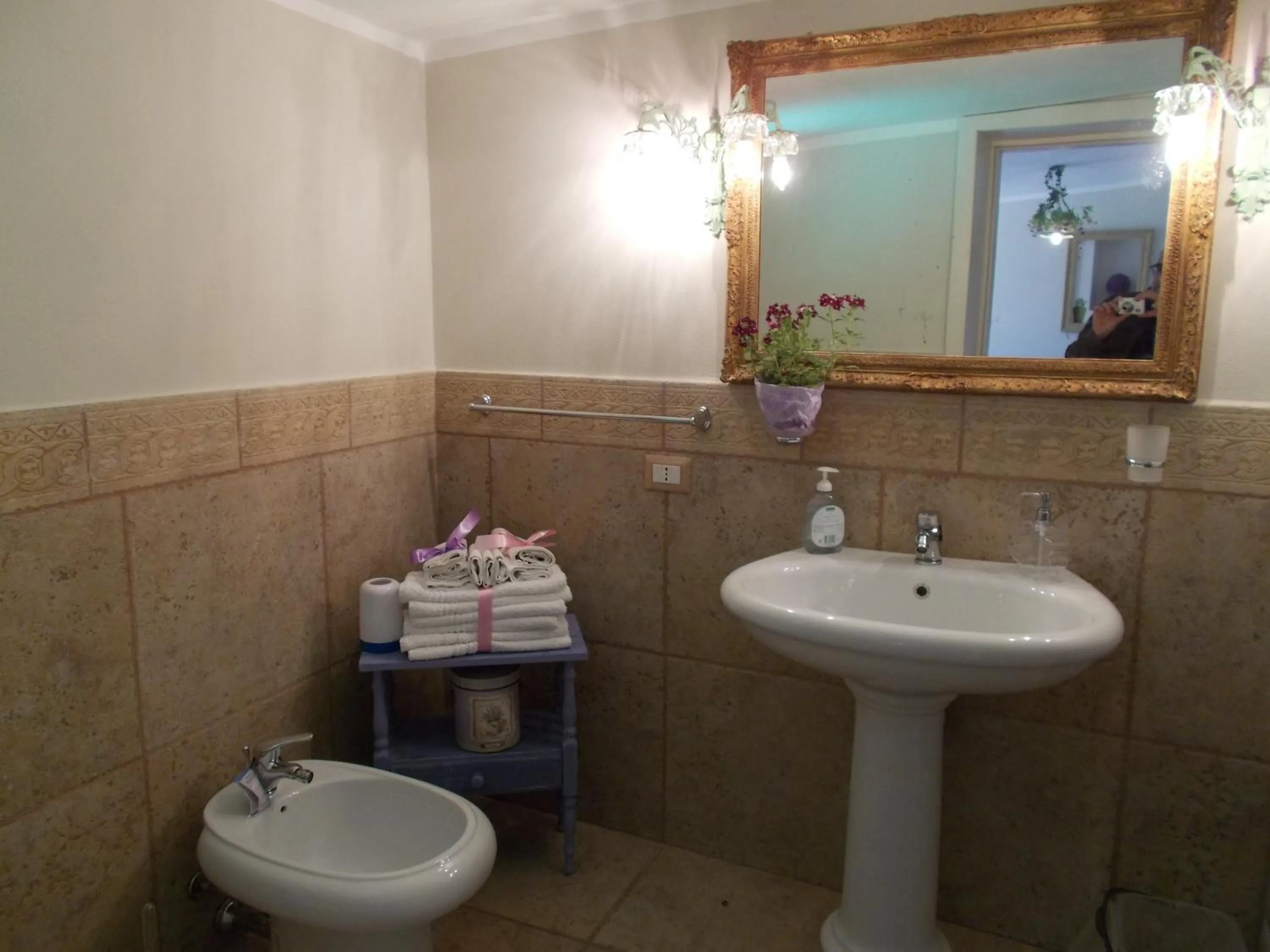 Bathroom in casa di campagna dal pozzo