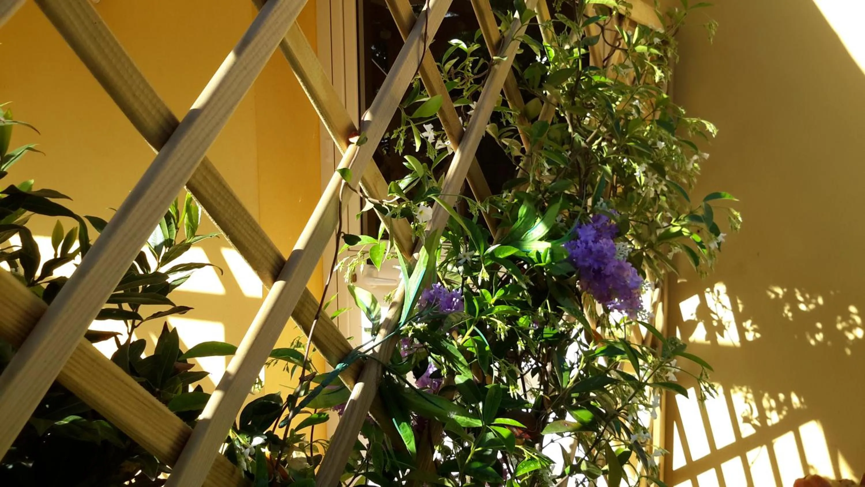 Balcony/Terrace in casa di campagna dal pozzo