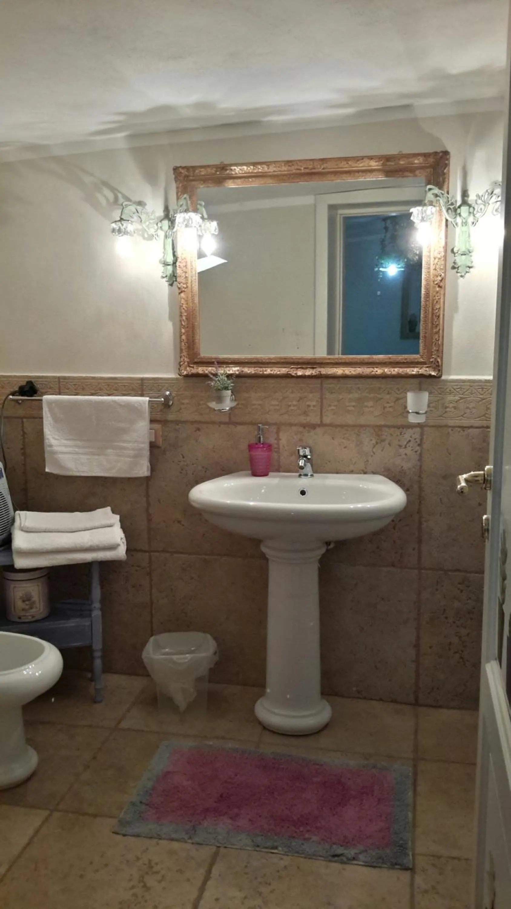 Bathroom in casa di campagna dal pozzo