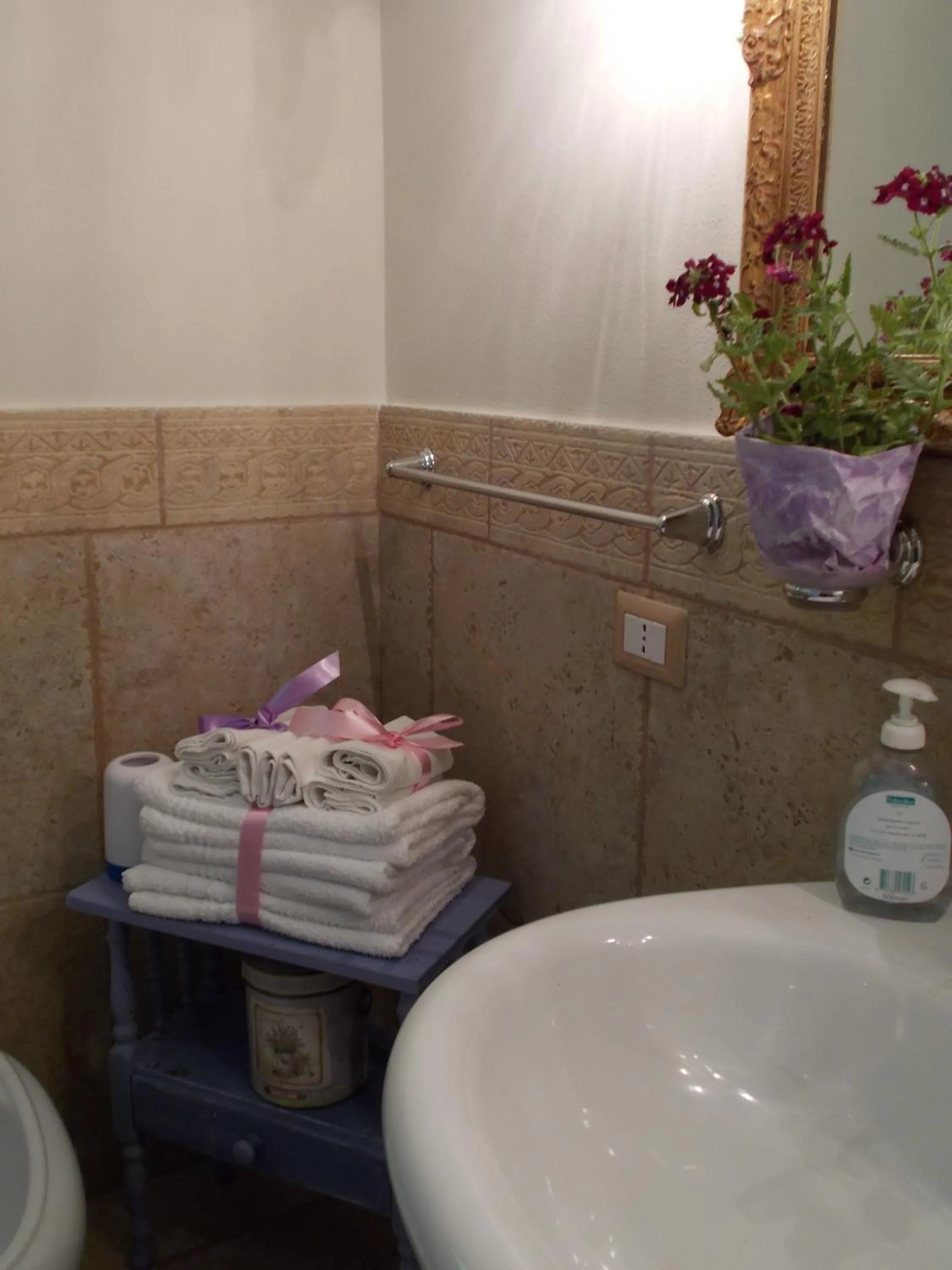 Bathroom in casa di campagna dal pozzo