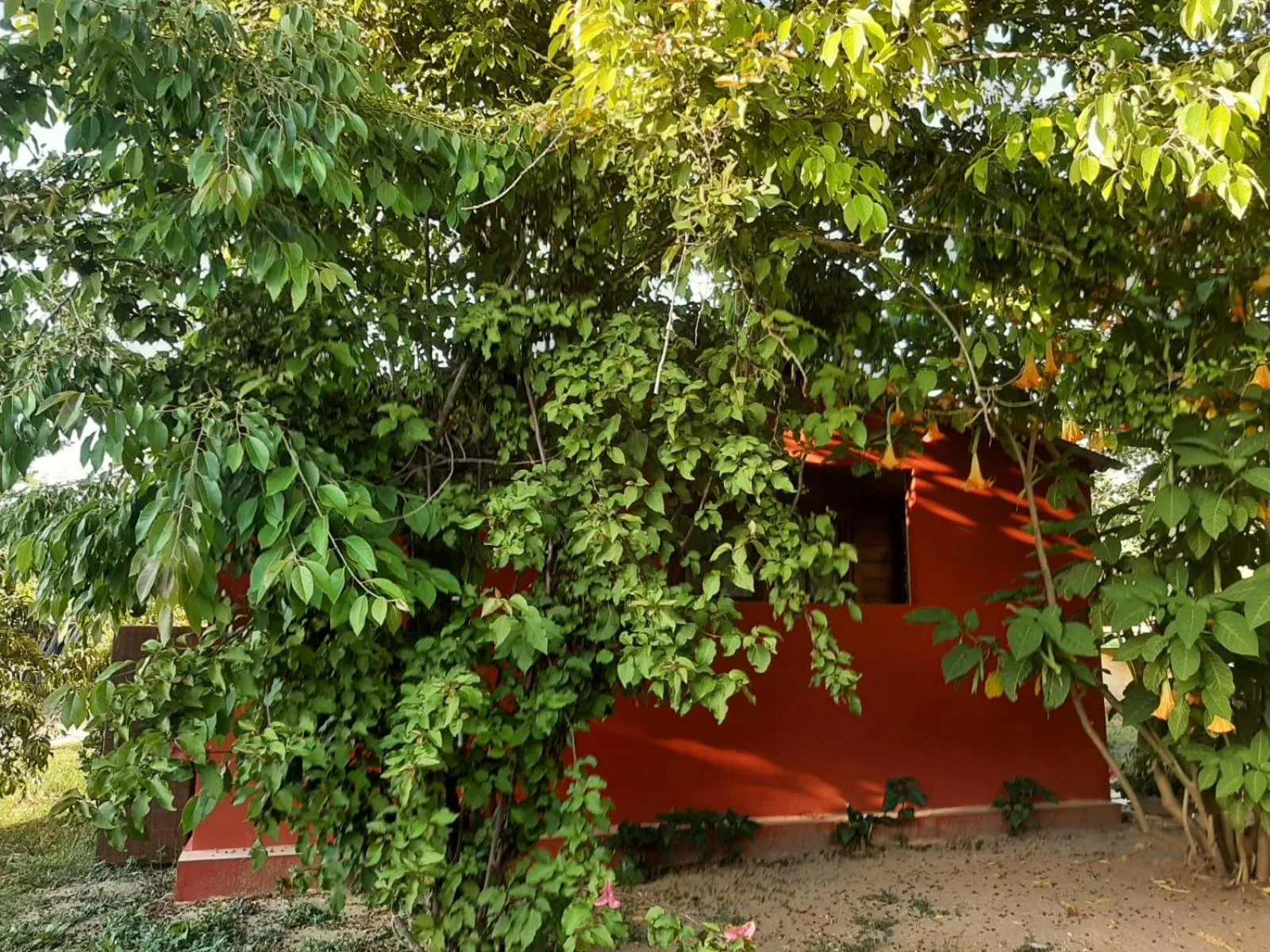 Property building in casa di campagna dal pozzo